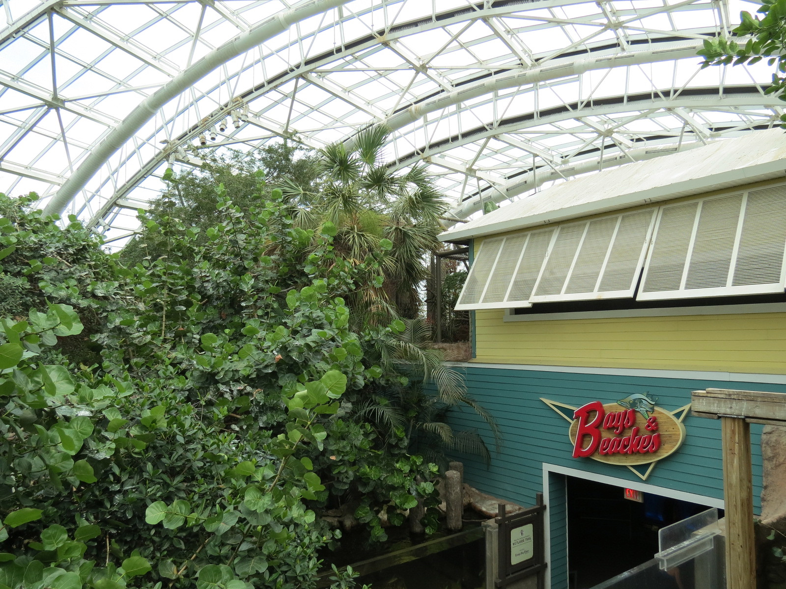 Journey To Madagascar - Entry