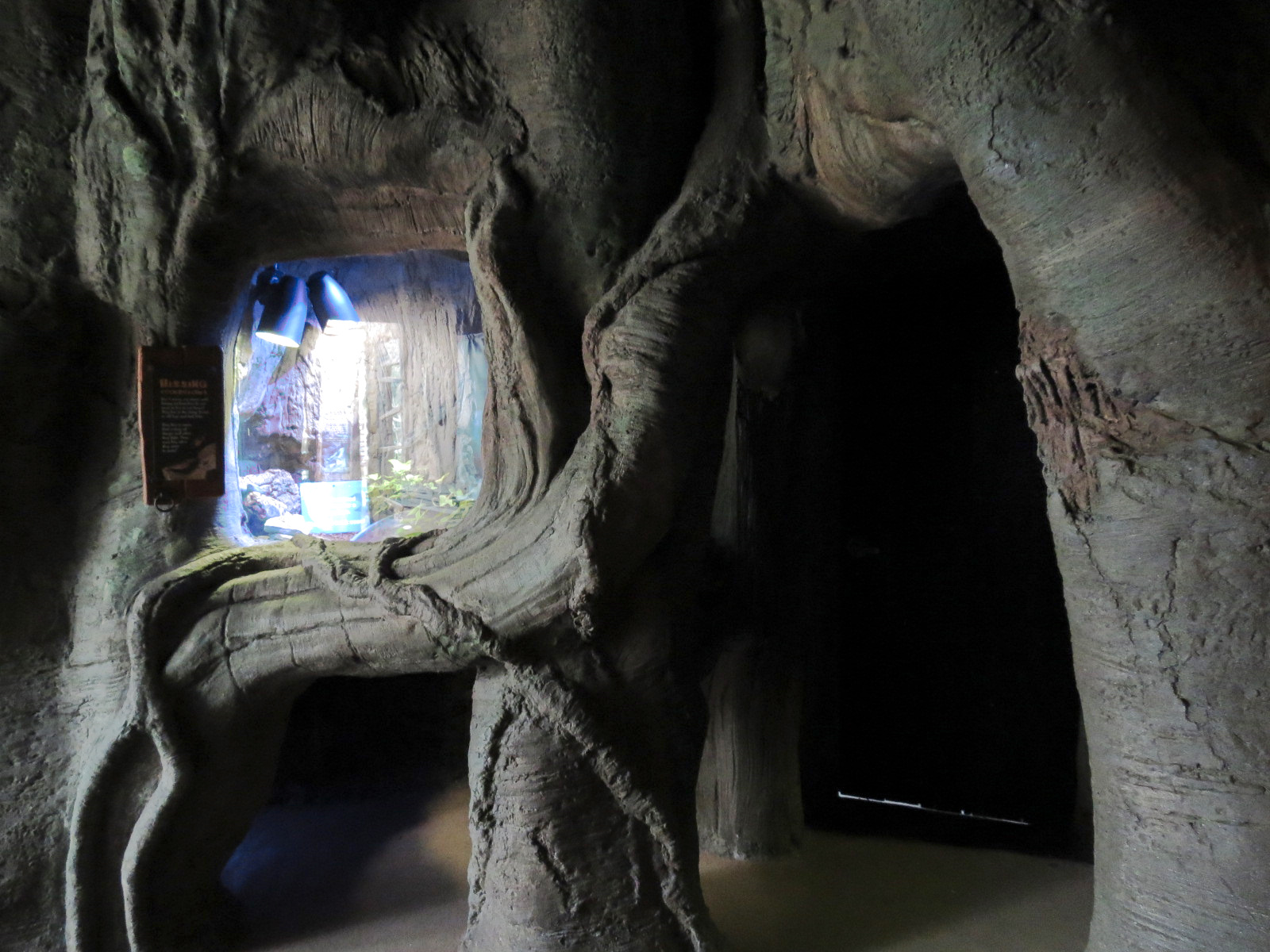 Journey To Madagascar - Hissing Cockroach Exhibit