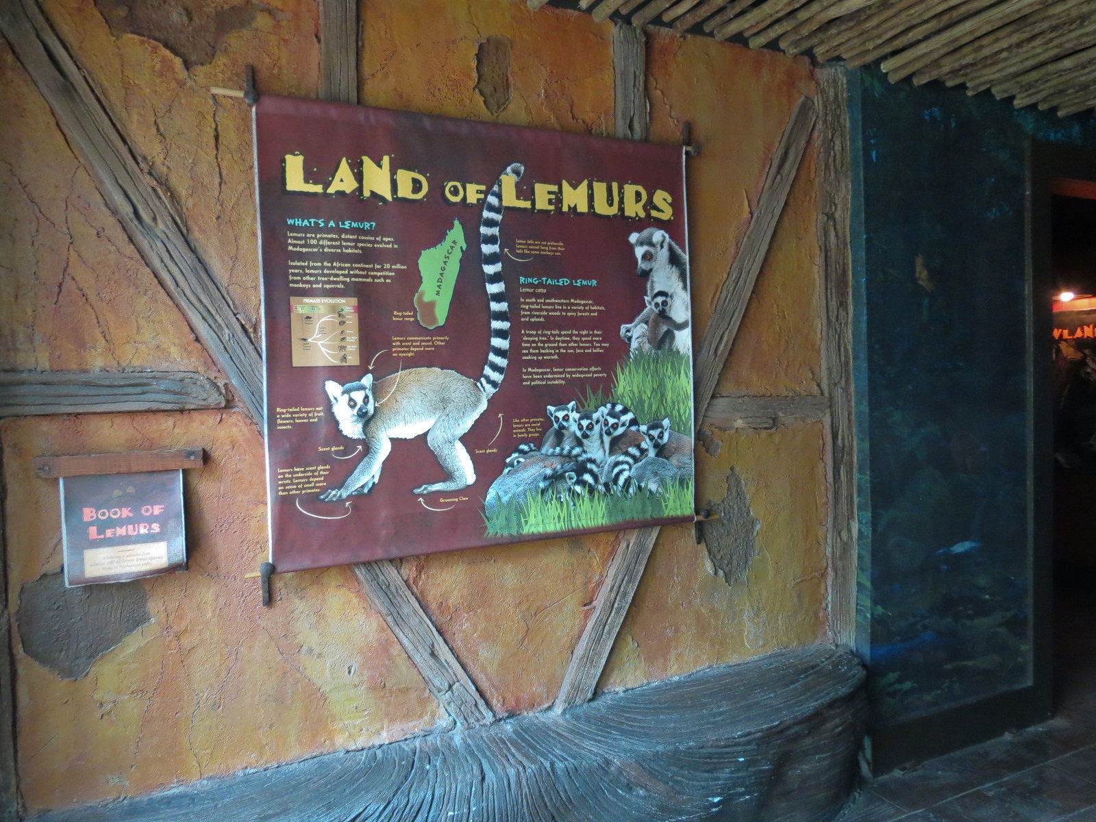 Journey To Madagascar - Land of Lemurs Exhibit