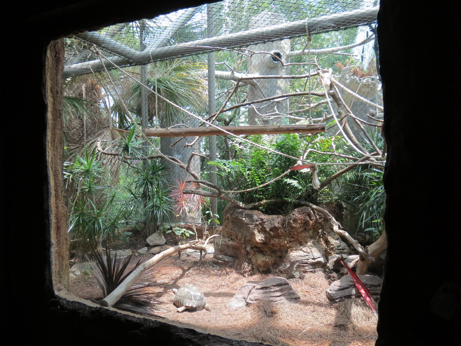 Journey To Madagascar - Land of Lemurs Exhibit