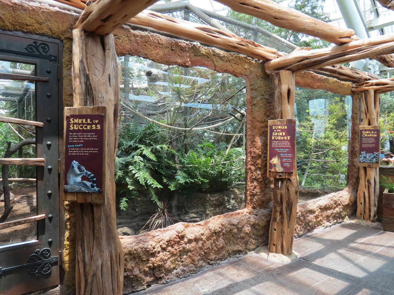 Journey To Madagascar - Land of Lemurs Exhibit