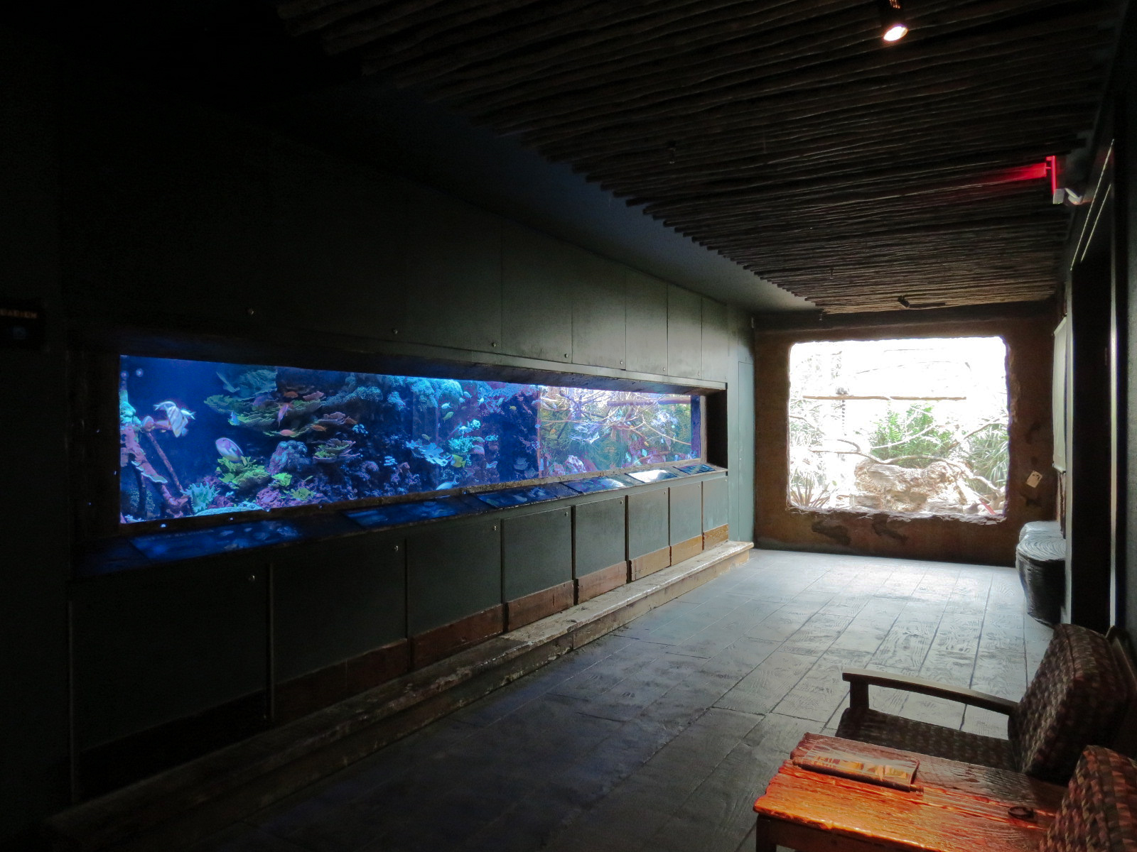 Journey To Madagascar - Reef Exhibit