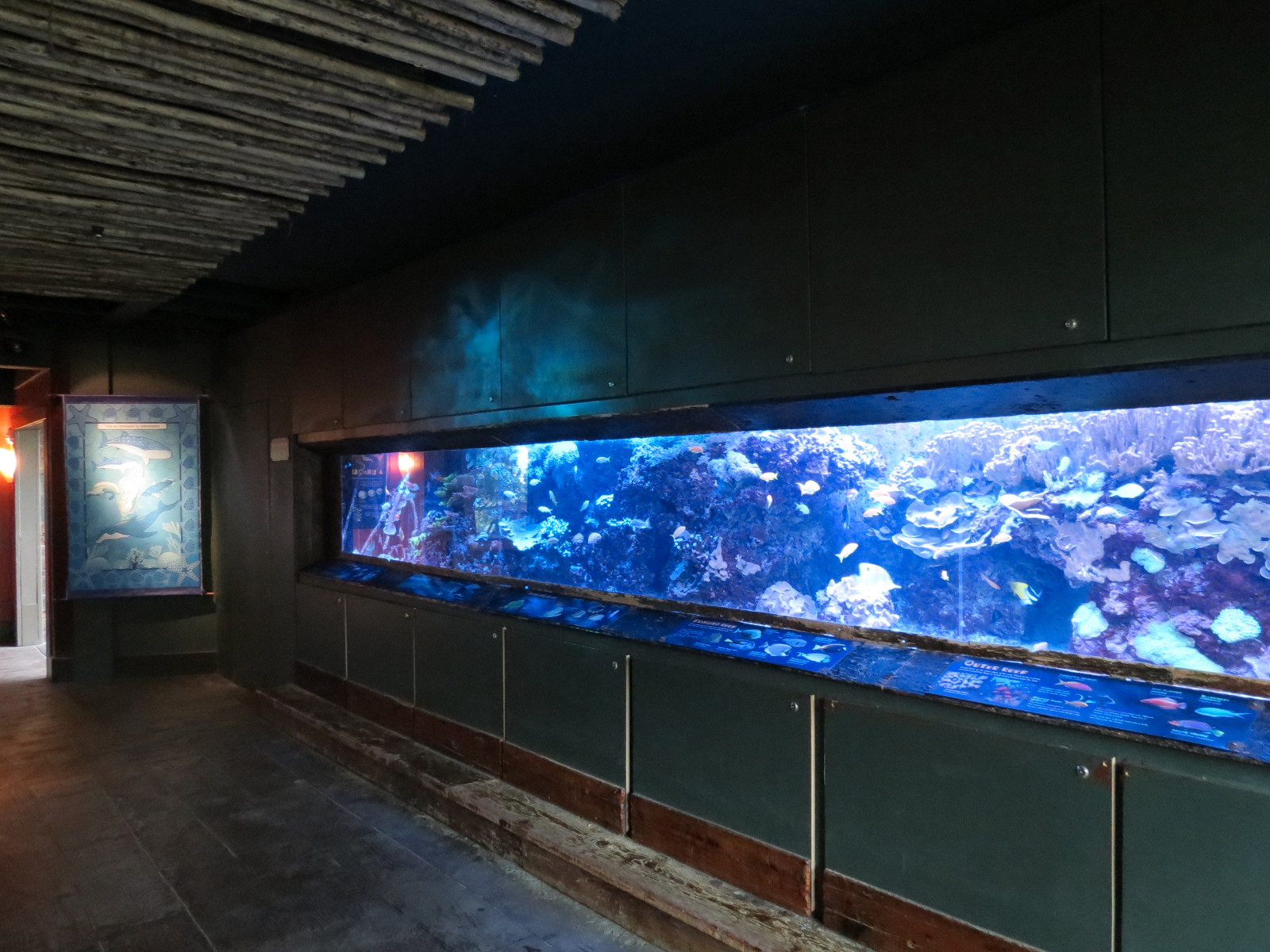 Journey To Madagascar - Reef Exhibit