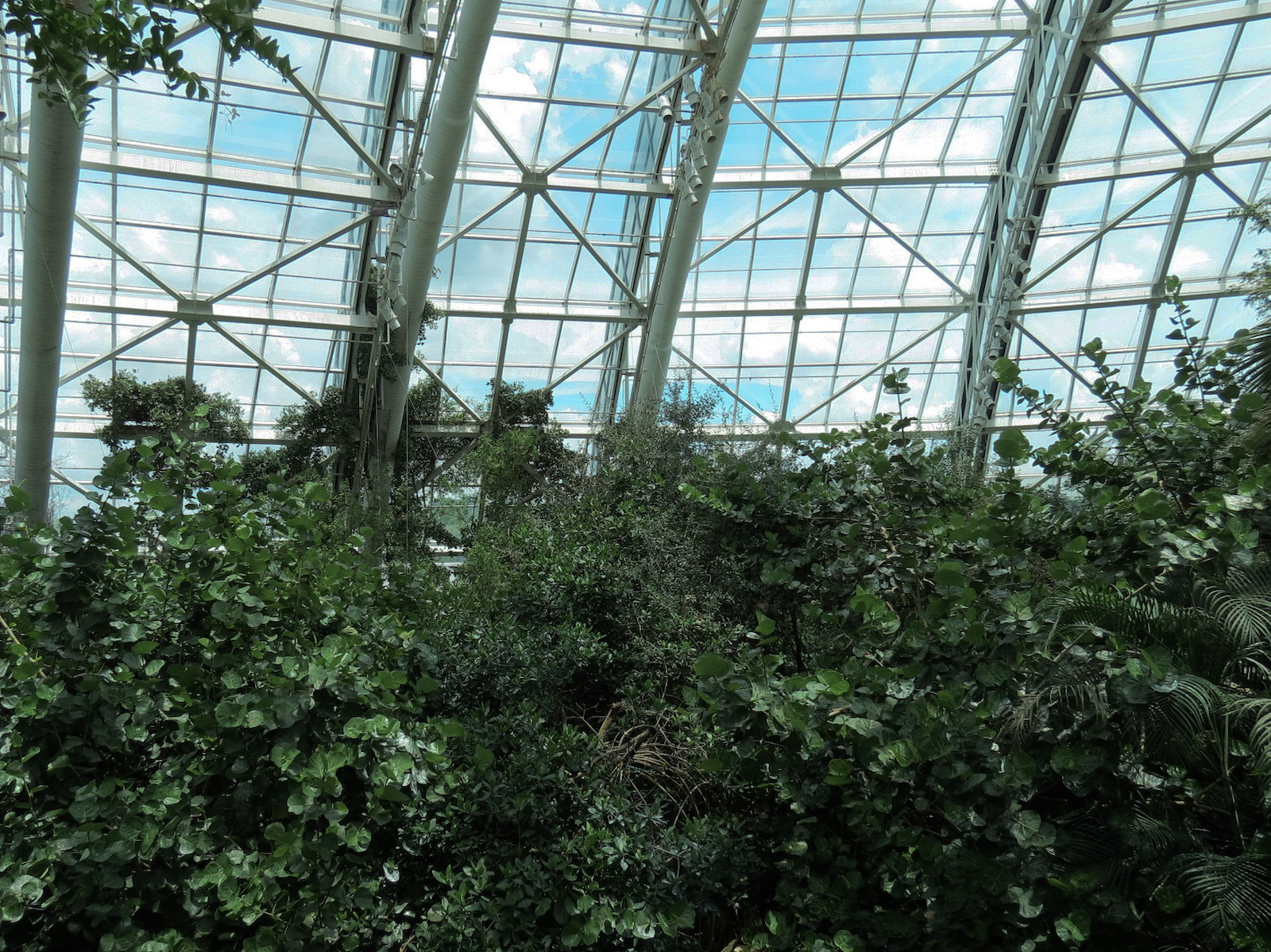 Journey To Madagascar - View of Skylit Roof