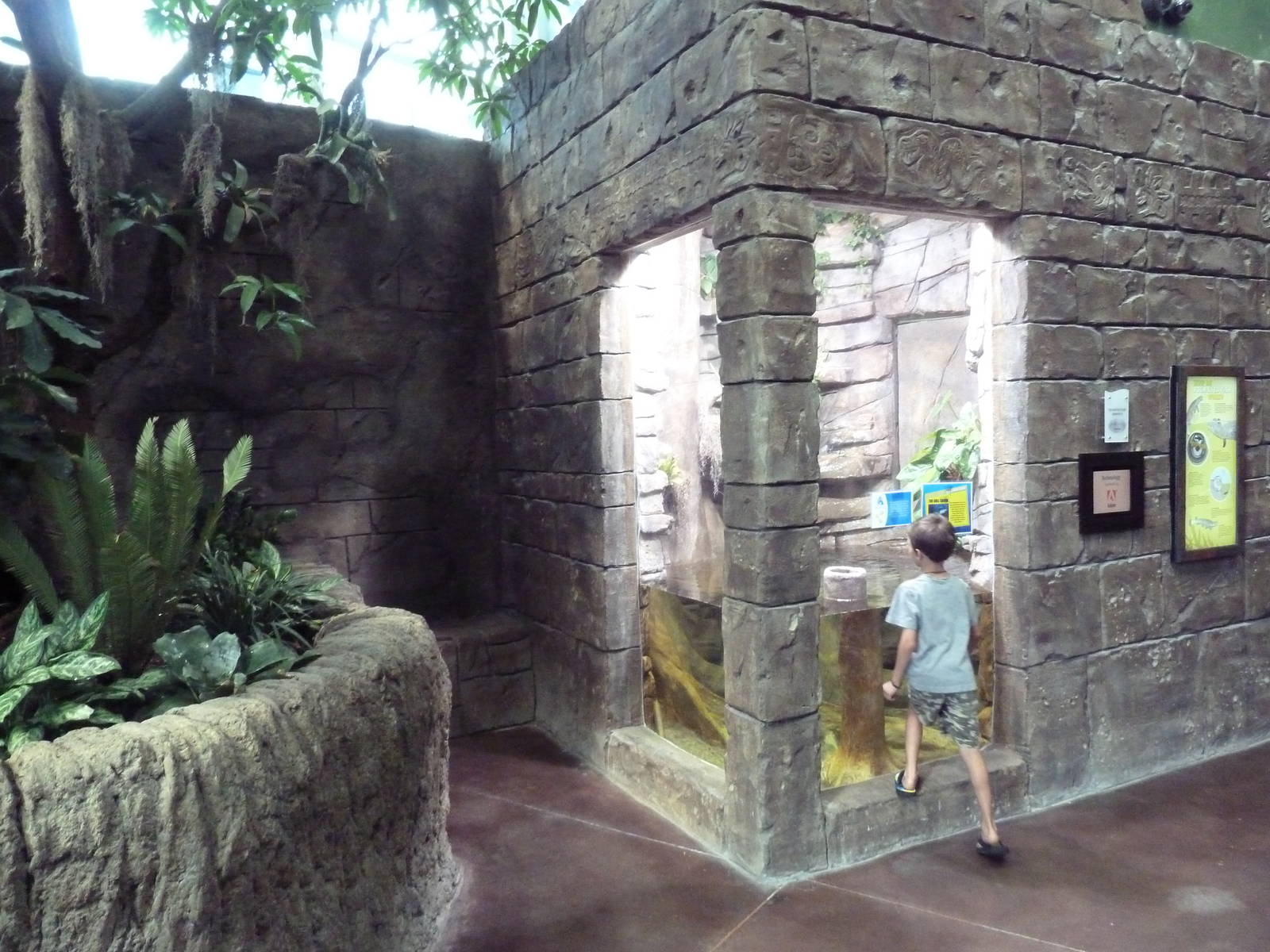 Journey to South America - Four-Eyed Fish Exhibit