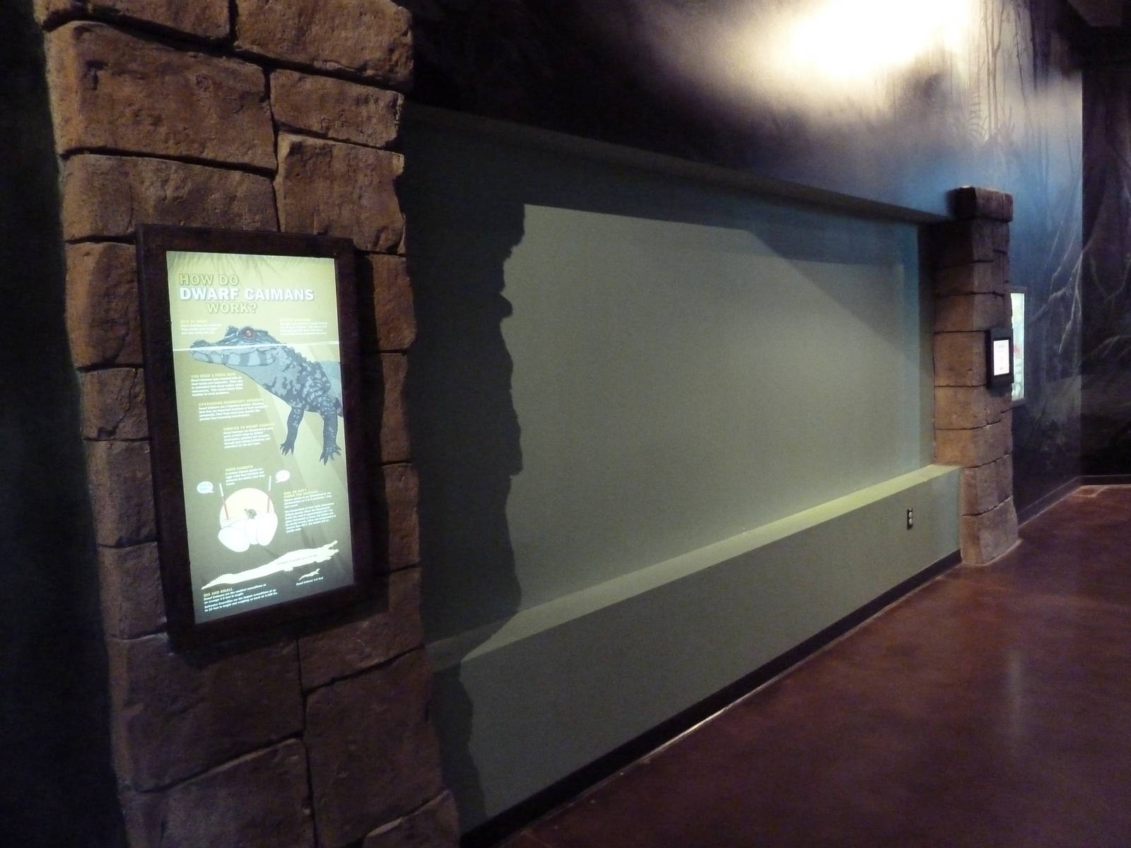 Journey to South America - Future Dwarf Caiman Exhibit