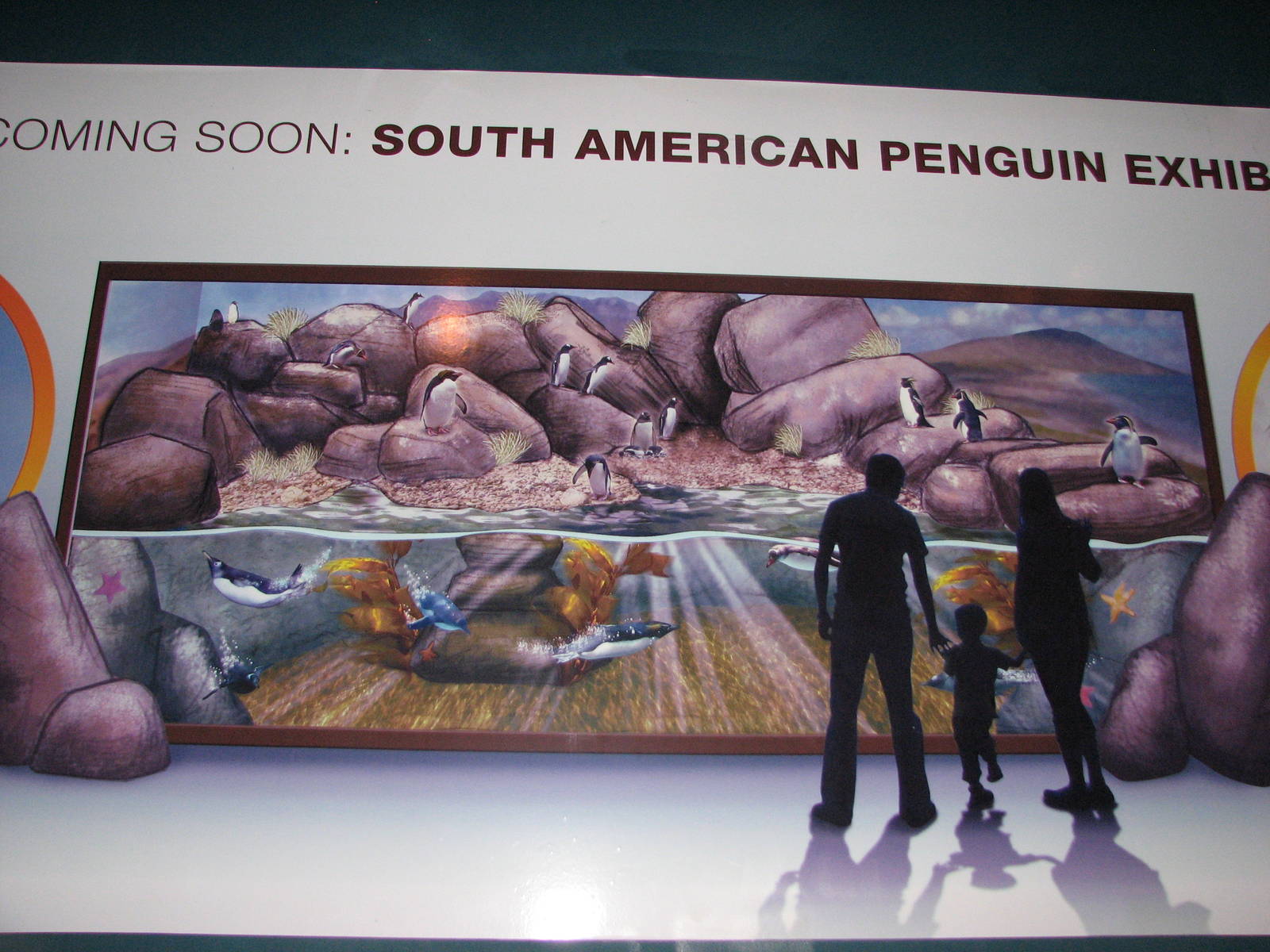 Journey to South America - Future Gentoo Penguin Exhibit