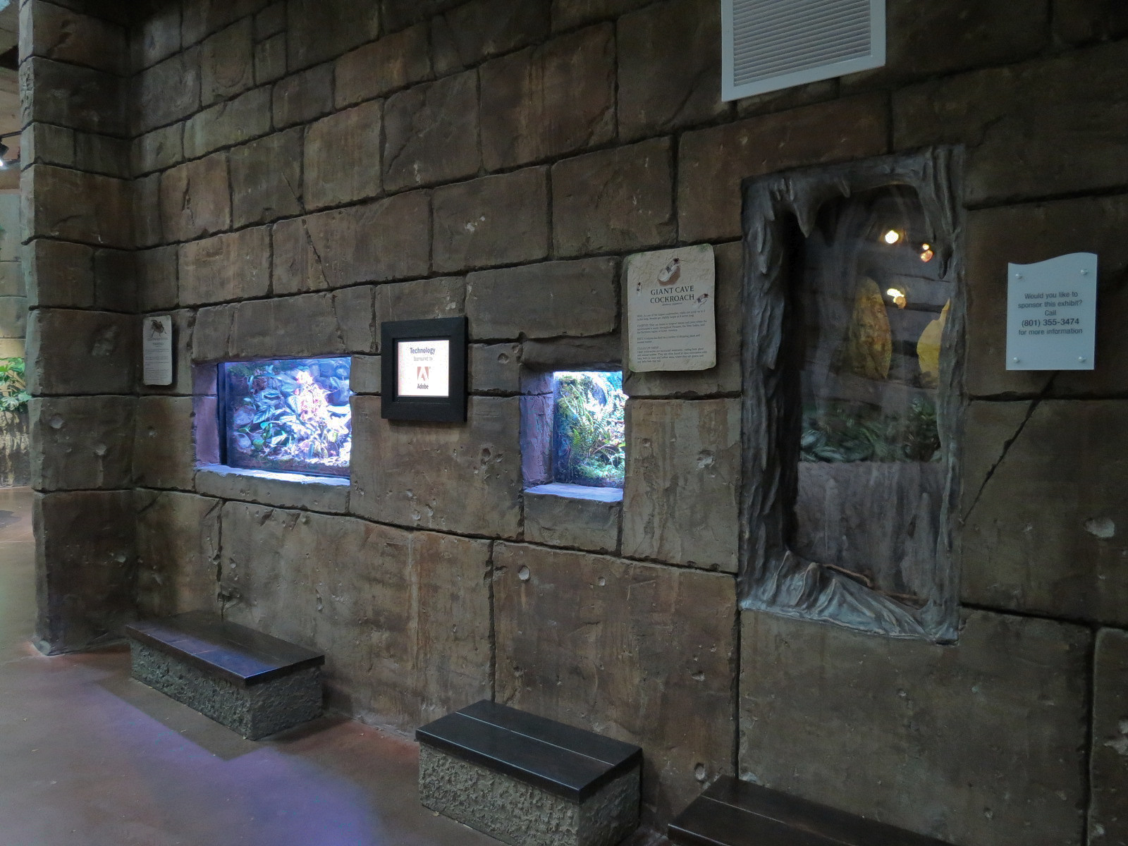 Journey To South America - Invertebrate Exhibits