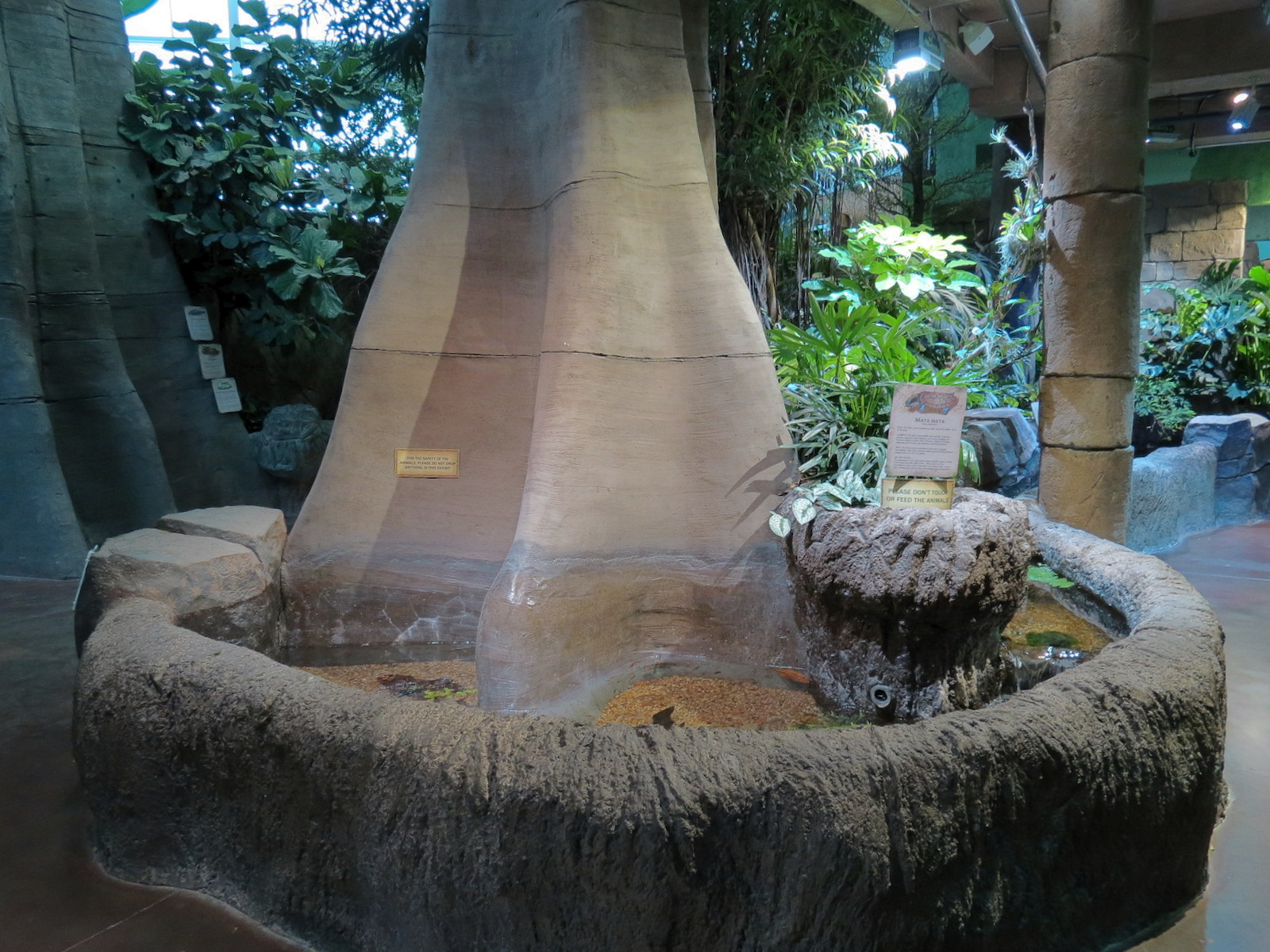 Journey To South America - Mata Mata Exhibit