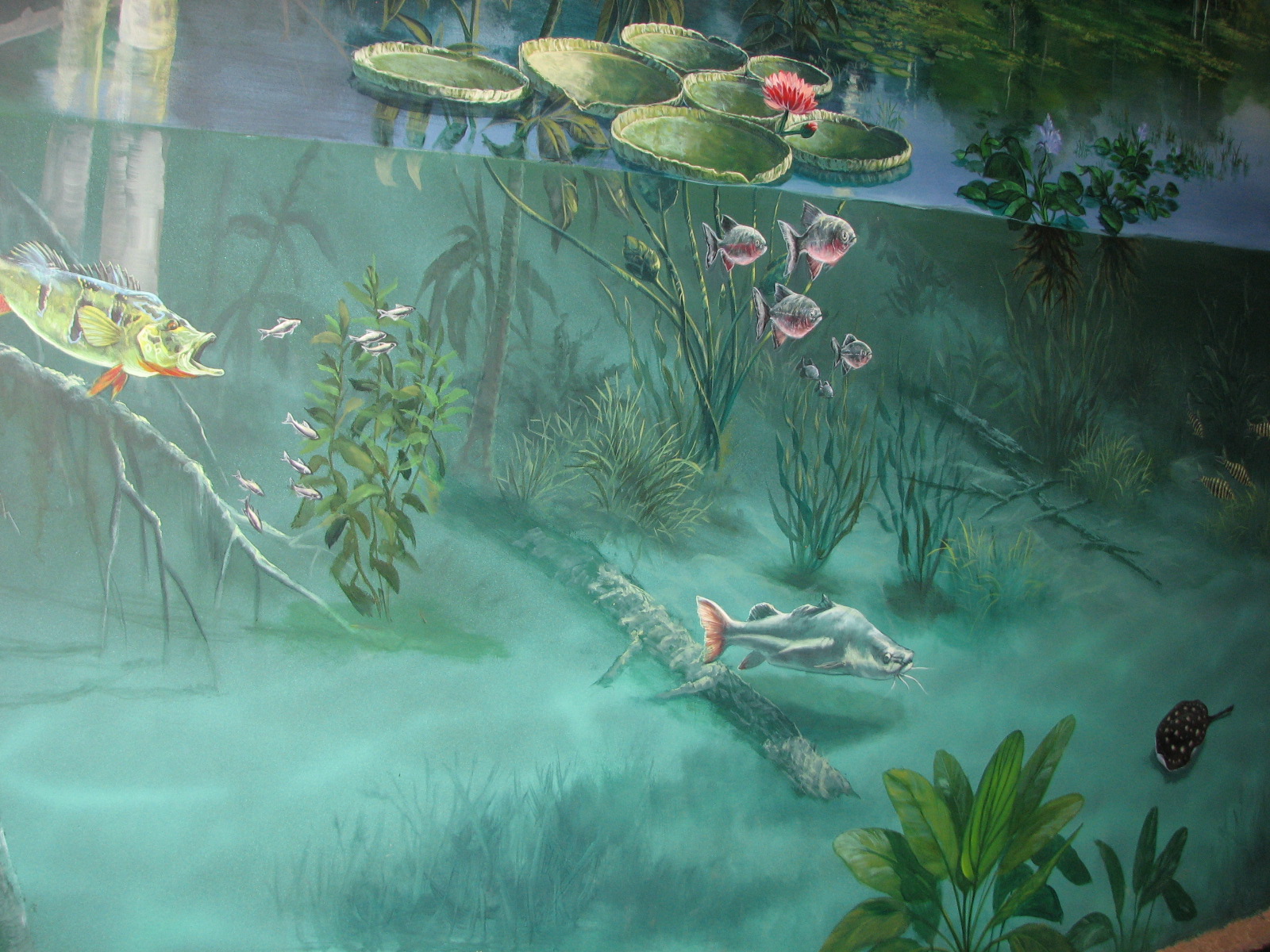 Journey to South America - Mural