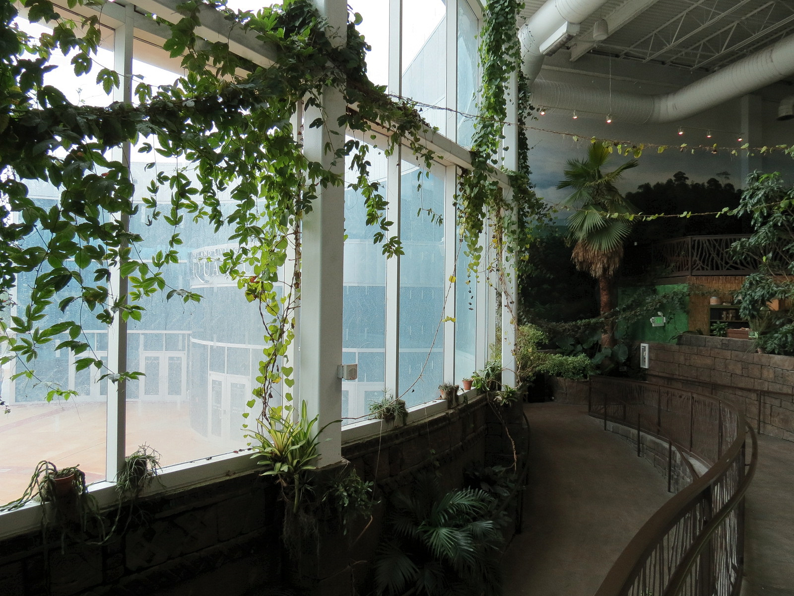 Journey To South America - Pathway Ramp