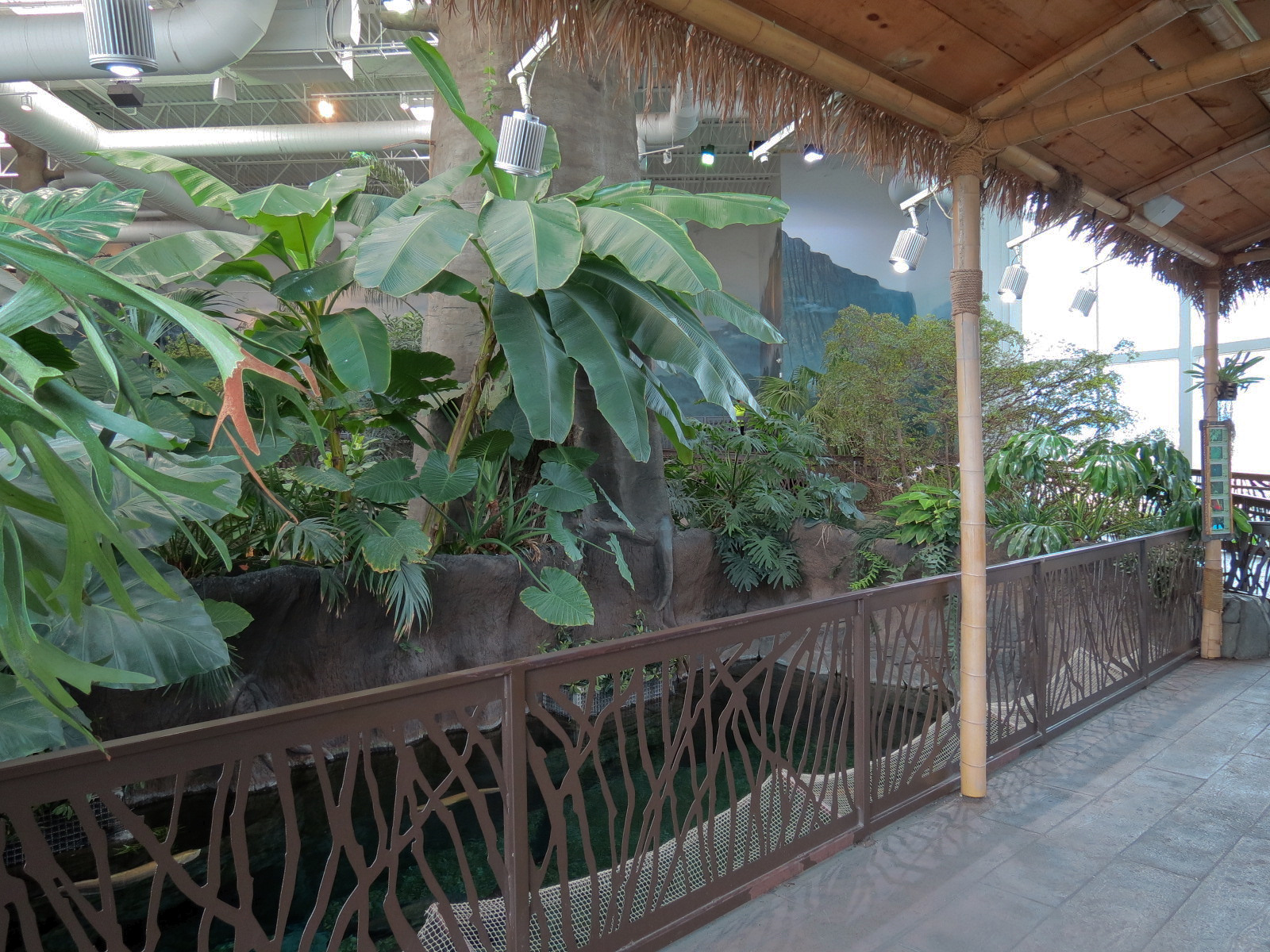 Journey To South America - River Giants Exhibit Upper Viewing Area