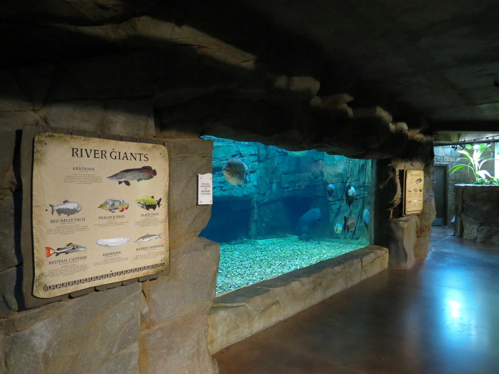 Journey To South America - River Giants Exhibit