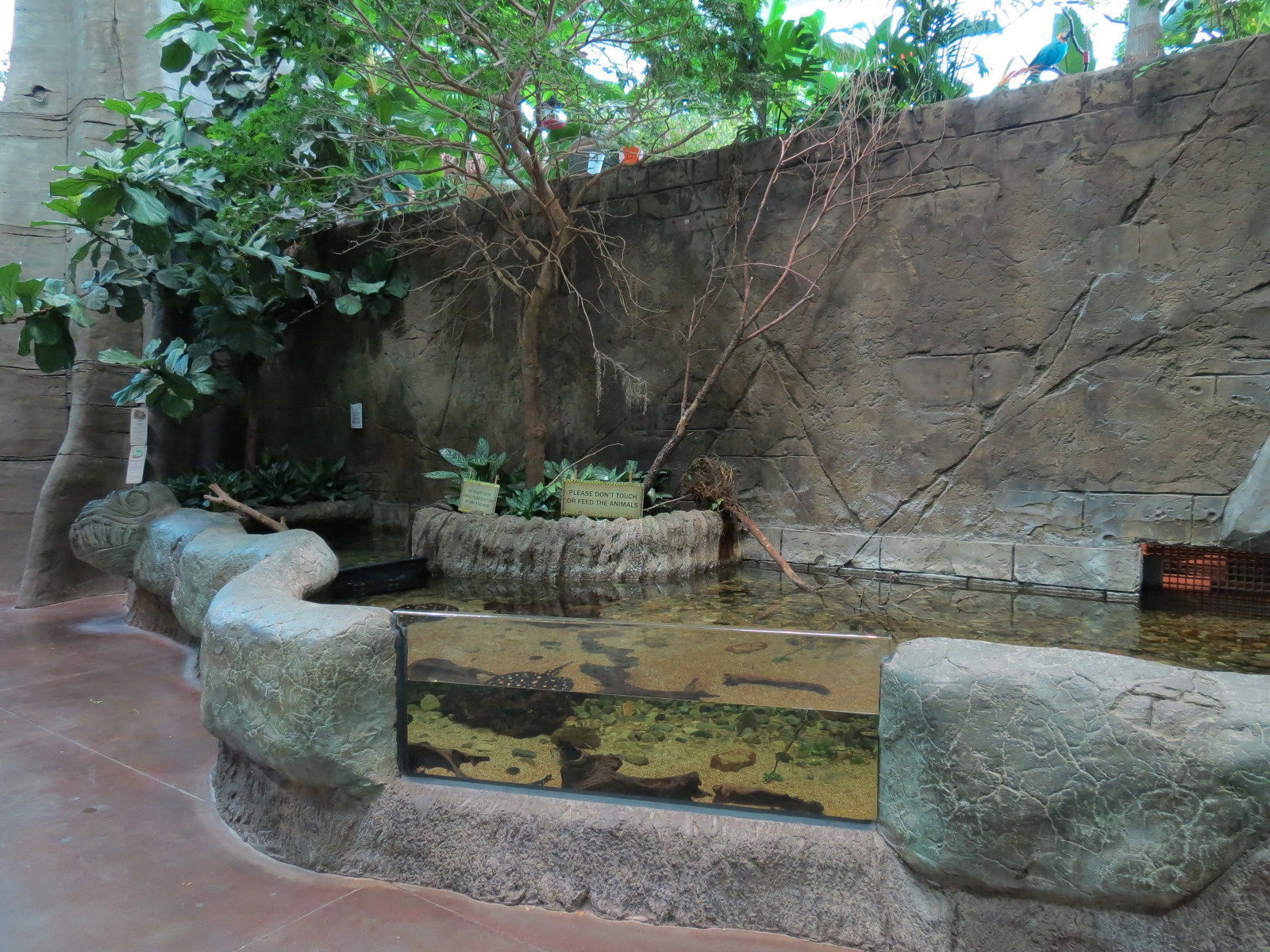 Journey To South America - River Stingray and Others Exhibit