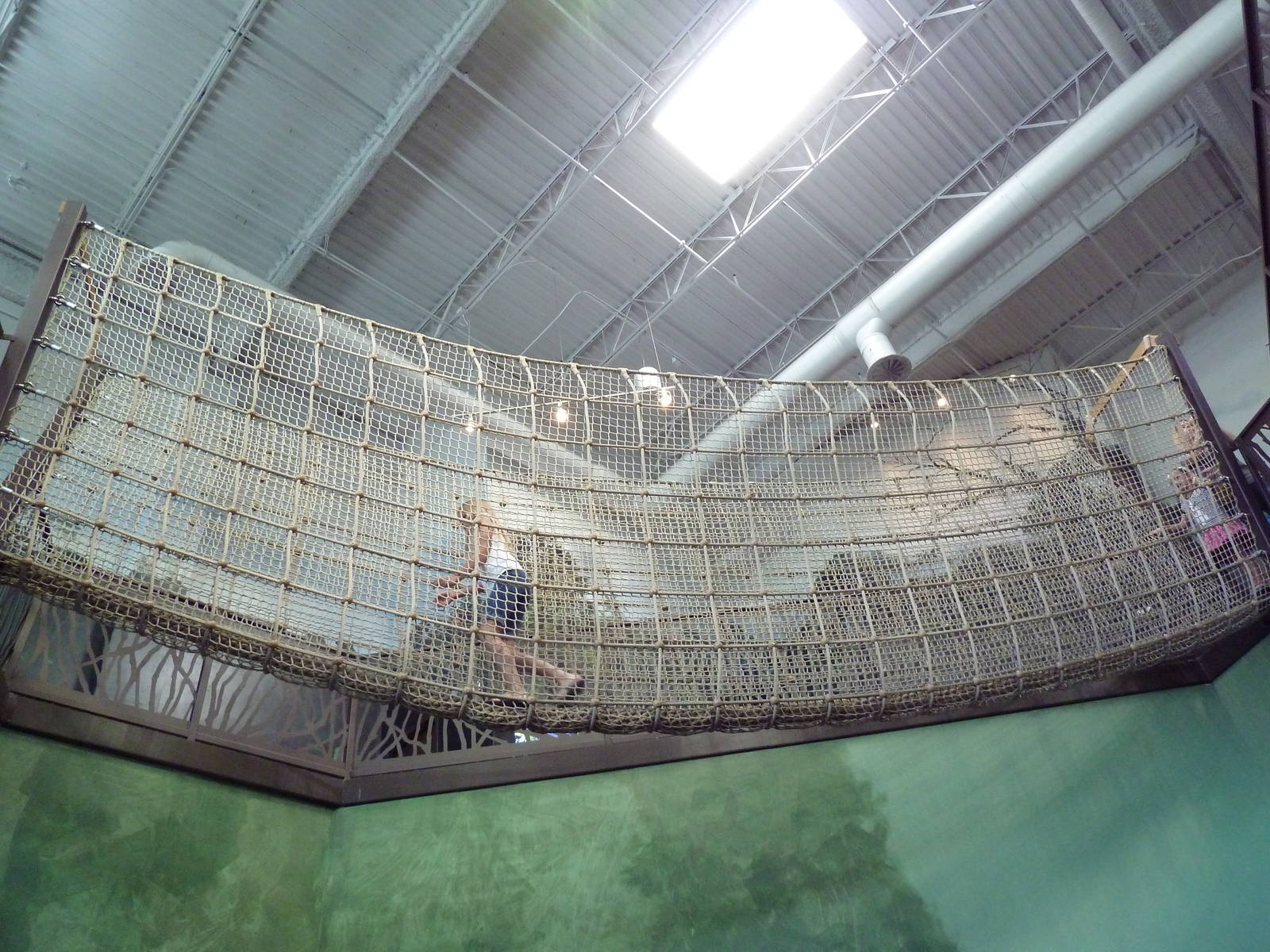 Journey to South America - Rope Bridge