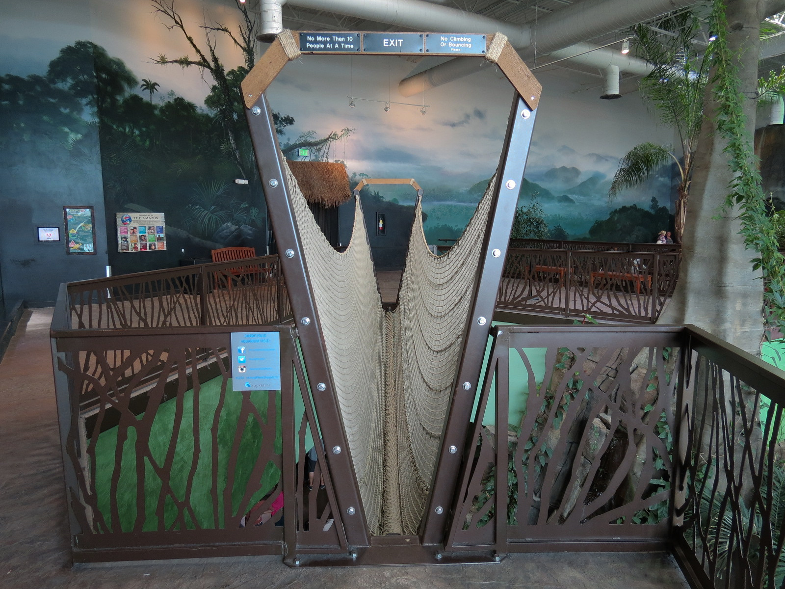 Journey To South America - Rope Bridge