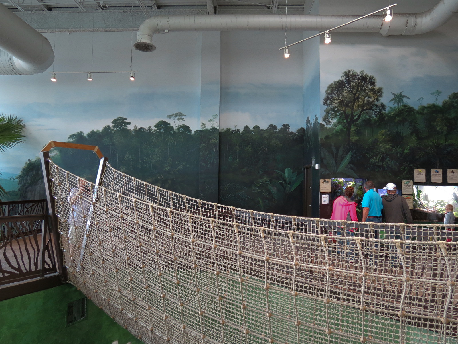 Journey To South America - Rope Bridge