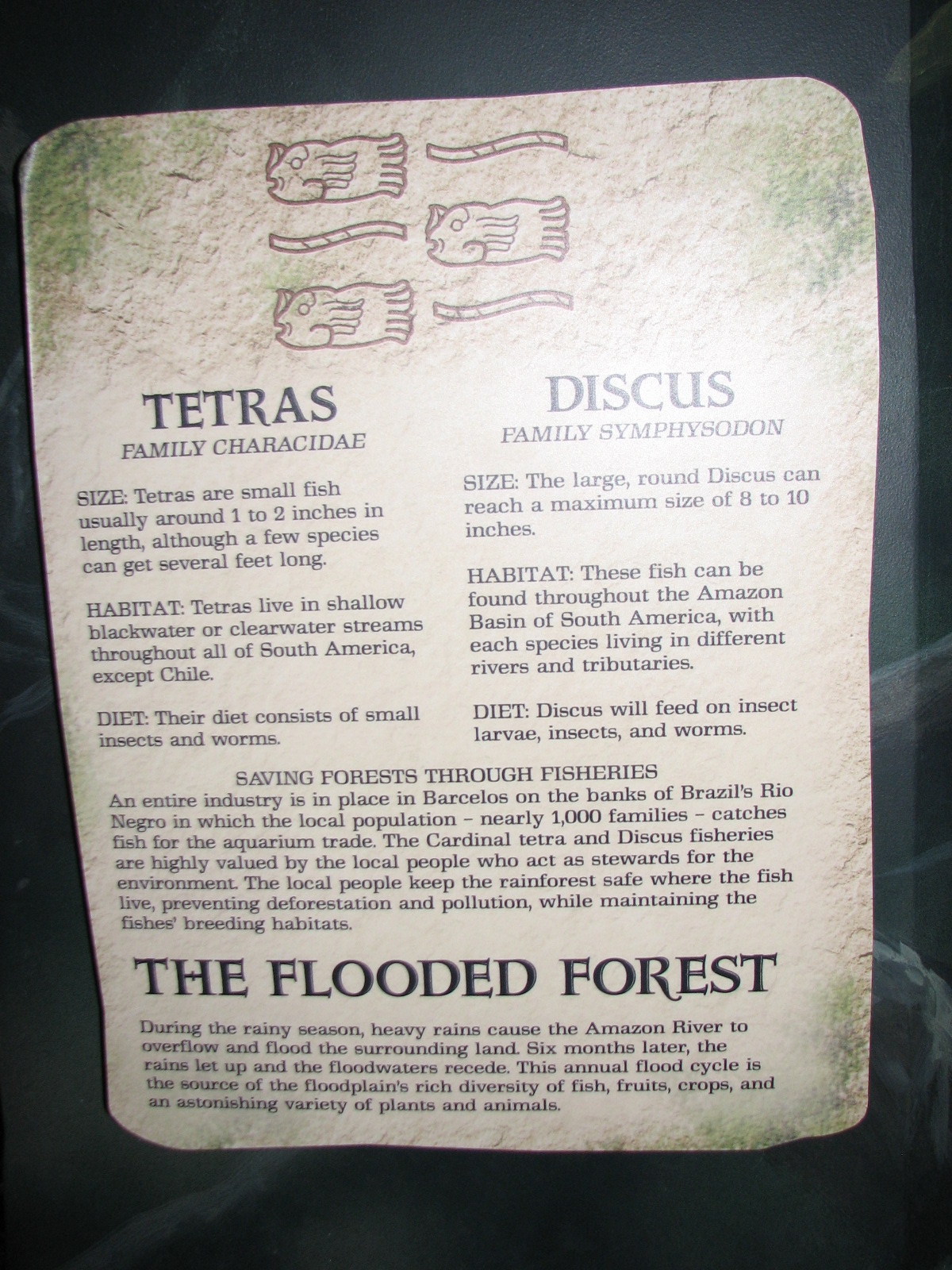 Journey to South America - Signage Example
