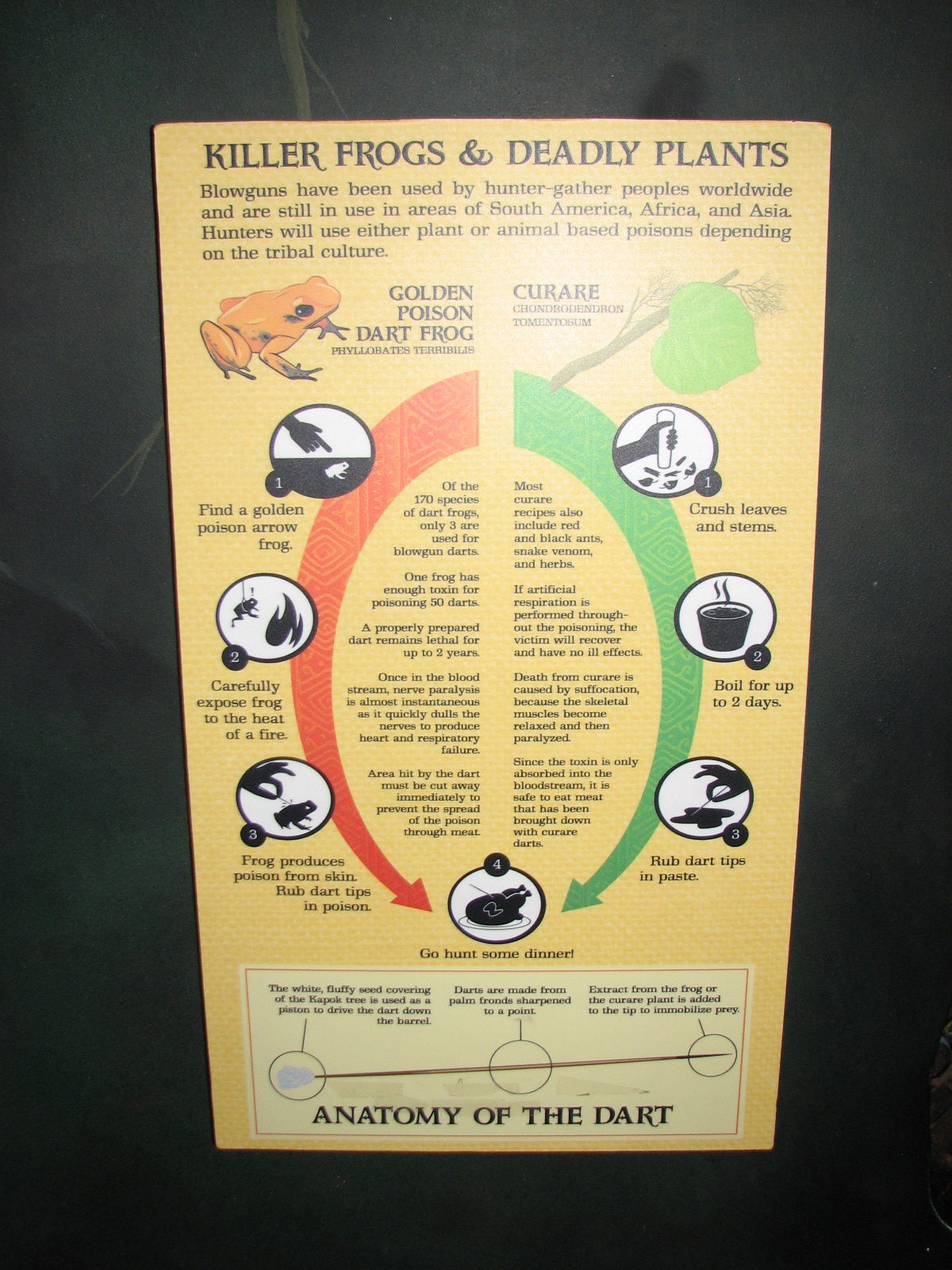 Journey to South America - Signage Example