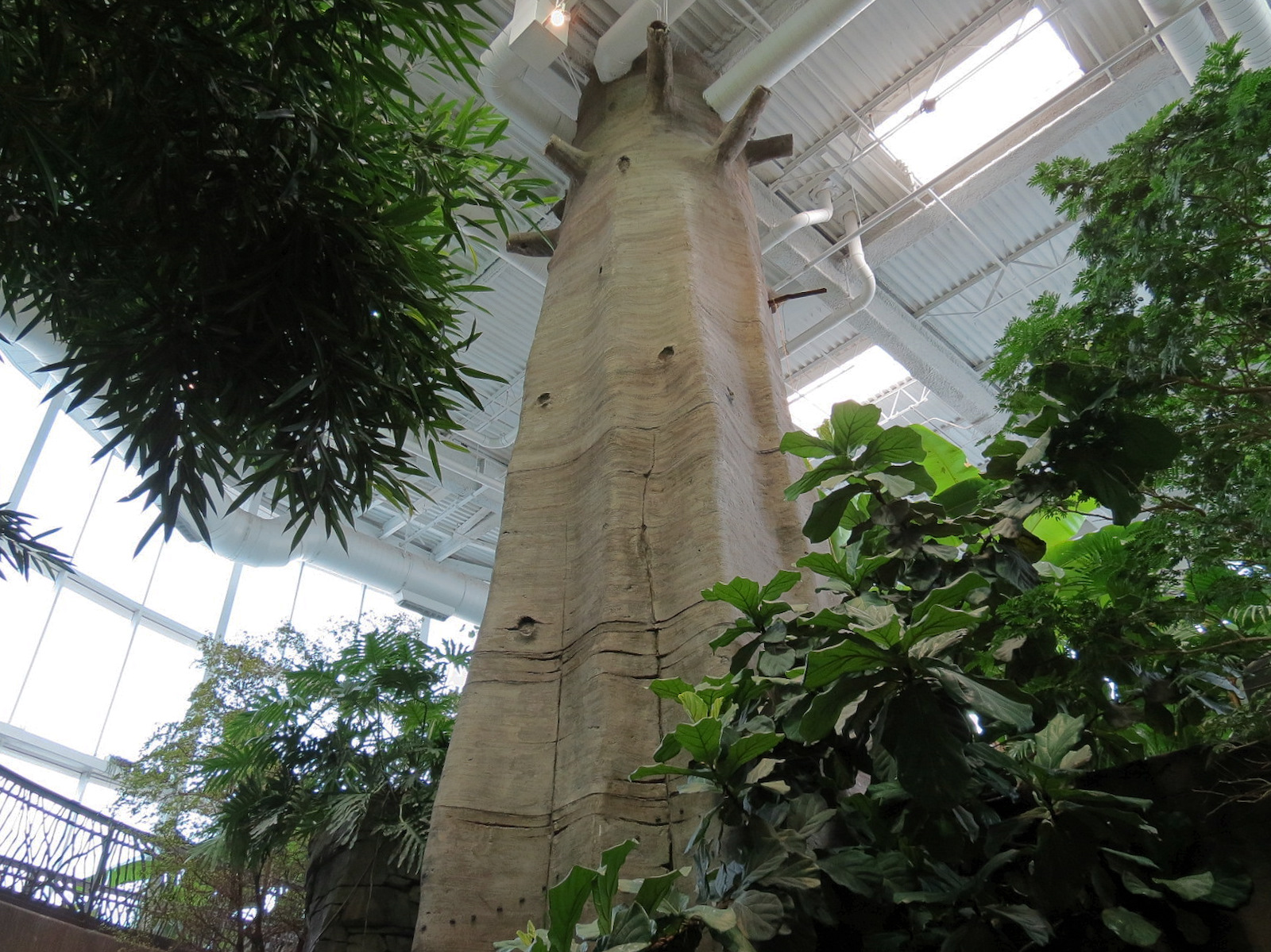 Journey To South America - Simulated Trunk