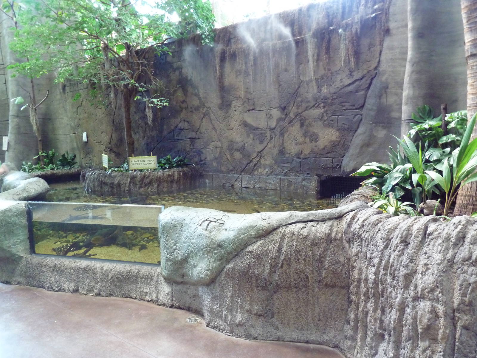 Journey to South America - Stingray Exhibit