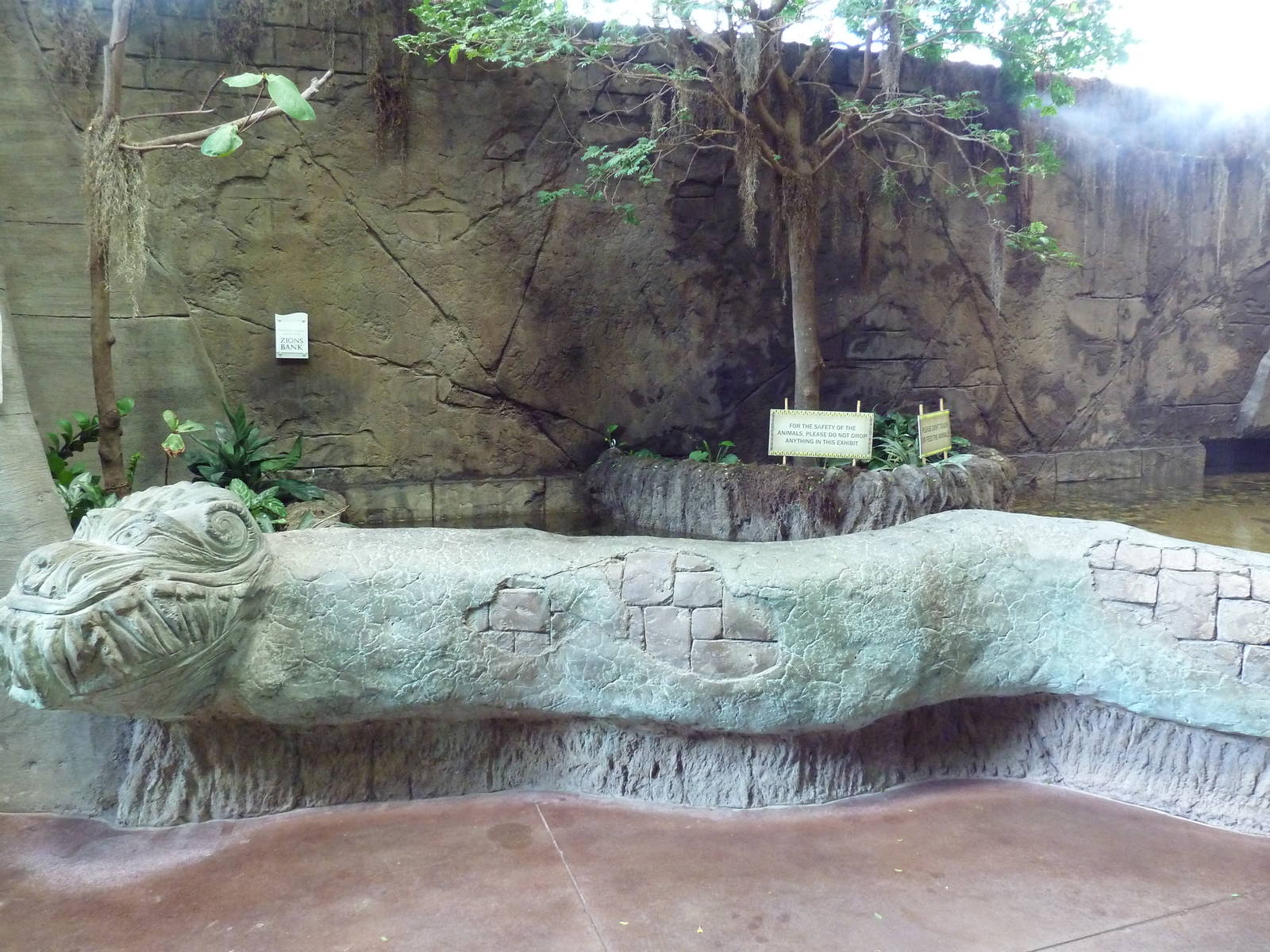 Journey to South America - Stingray Exhibit