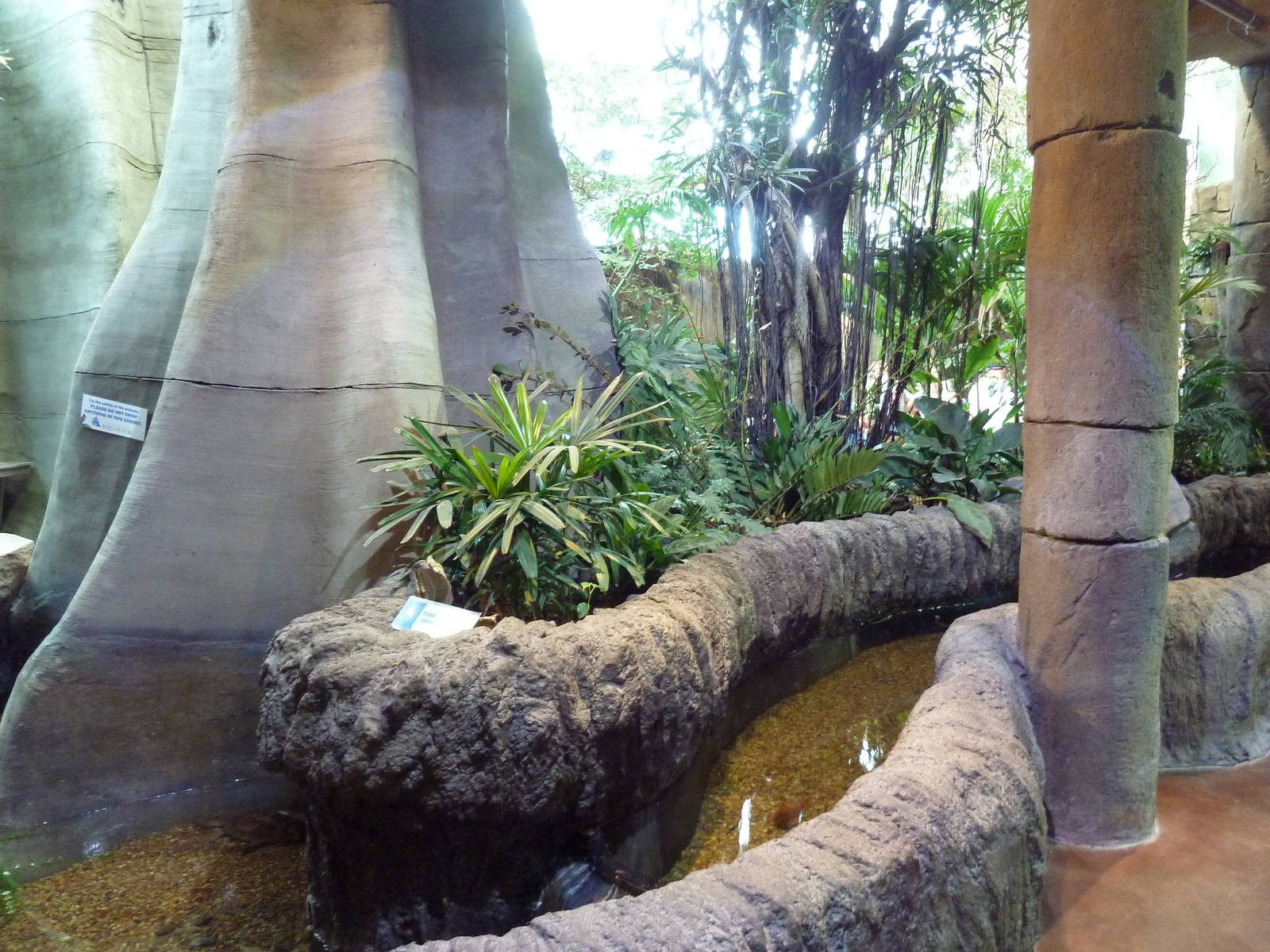 Journey to South America - Turtle Exhibit