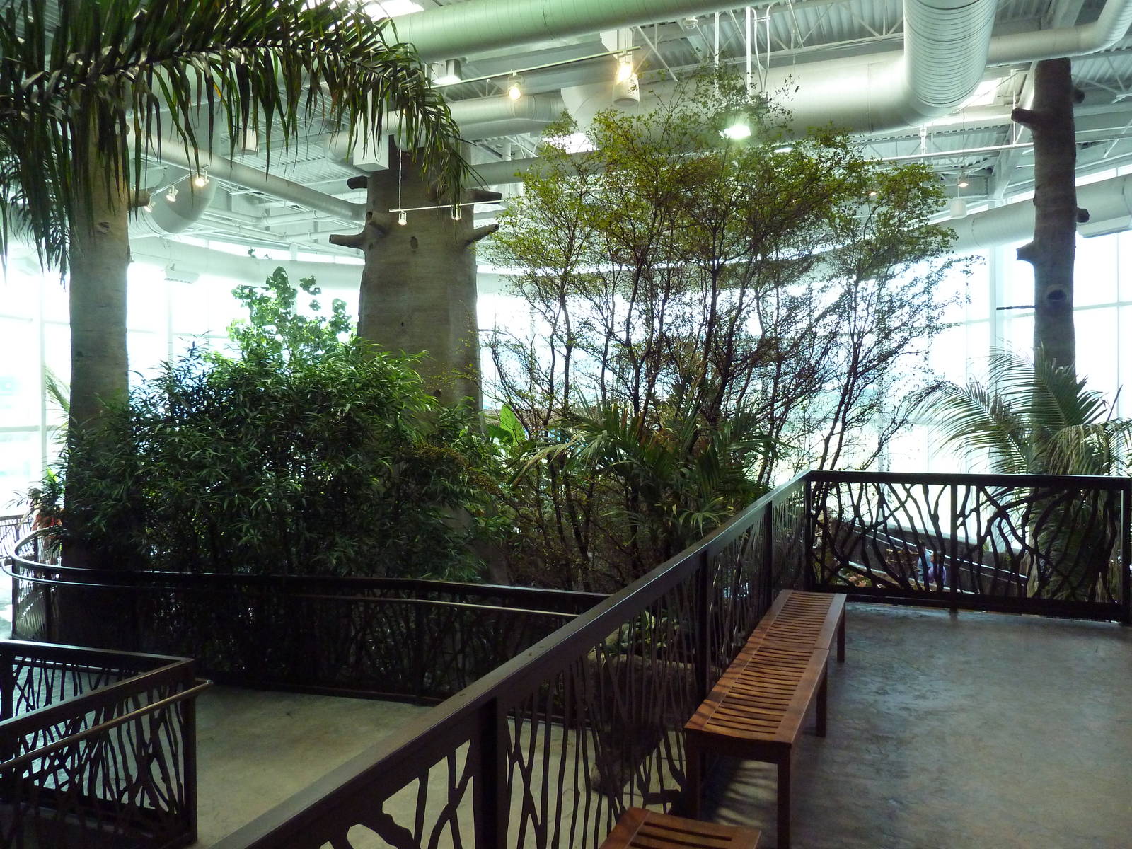 Journey to South America - Upper Level