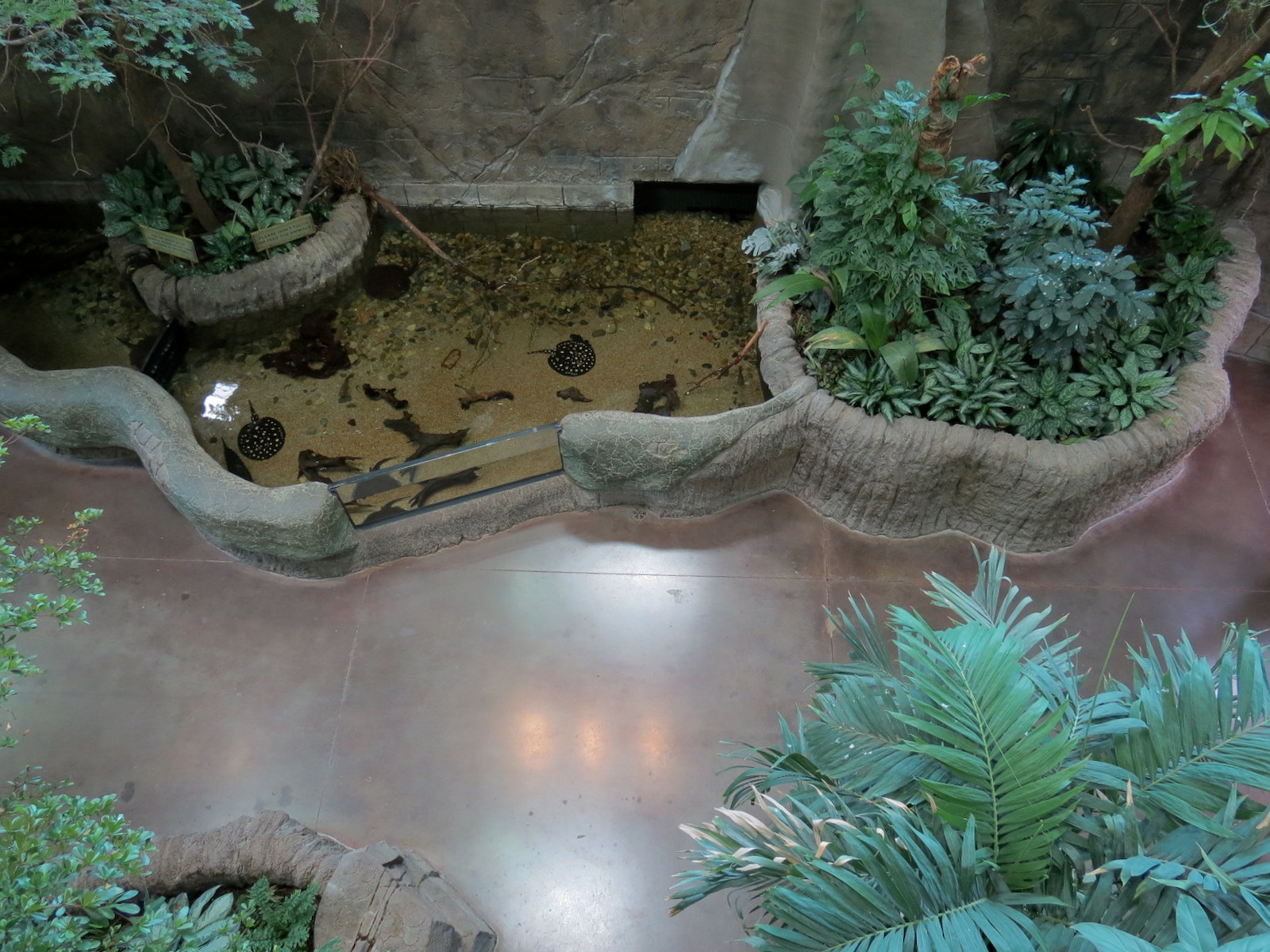 Journey To South America - View Down to First Floor