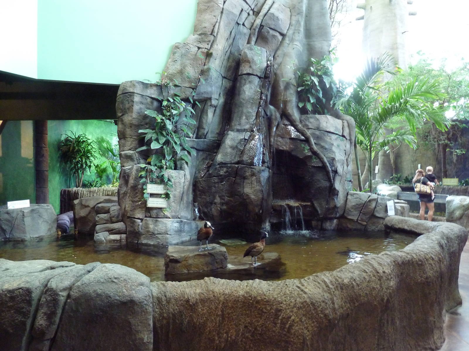 Journey to South America