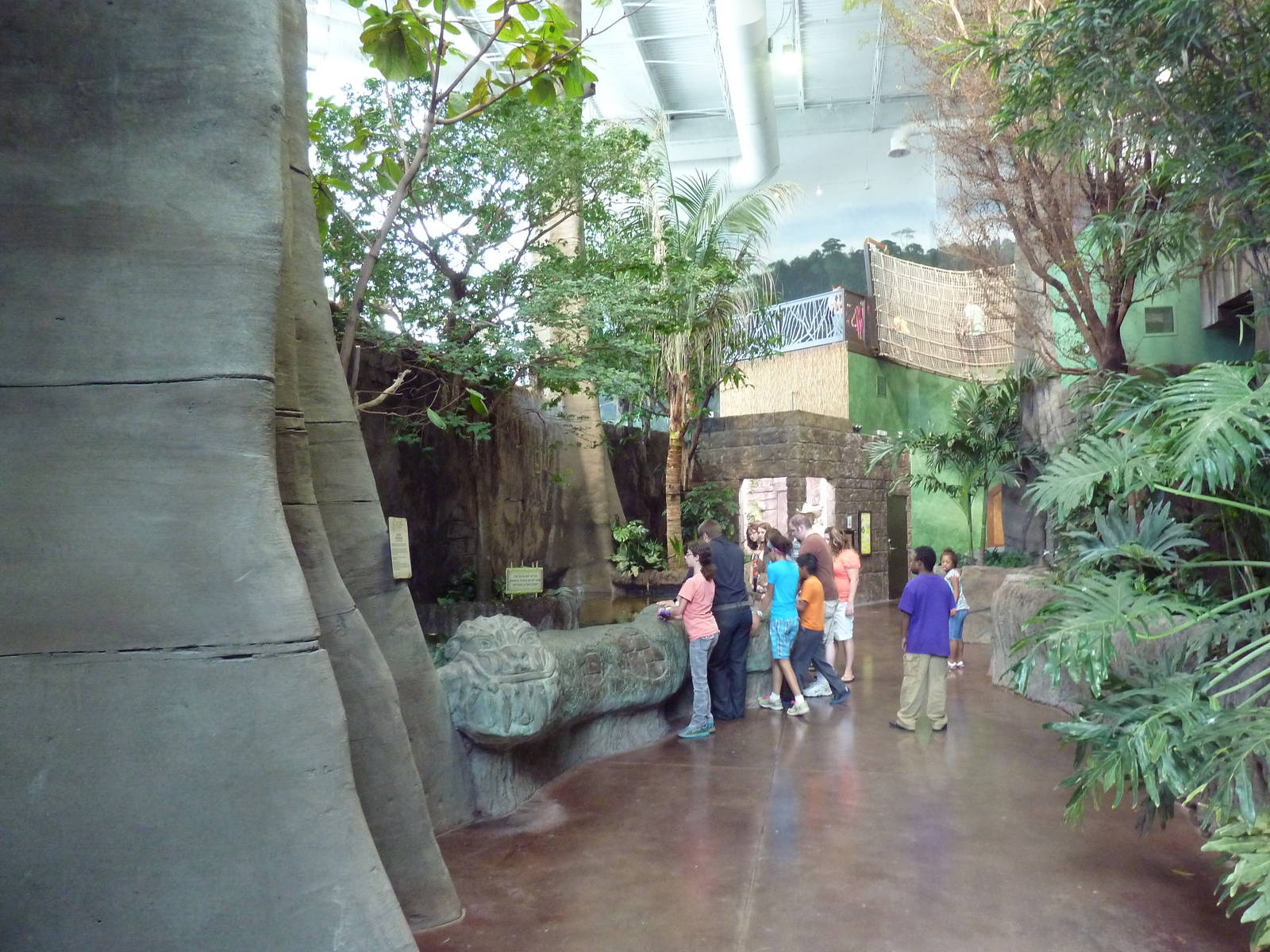 Journey to South America