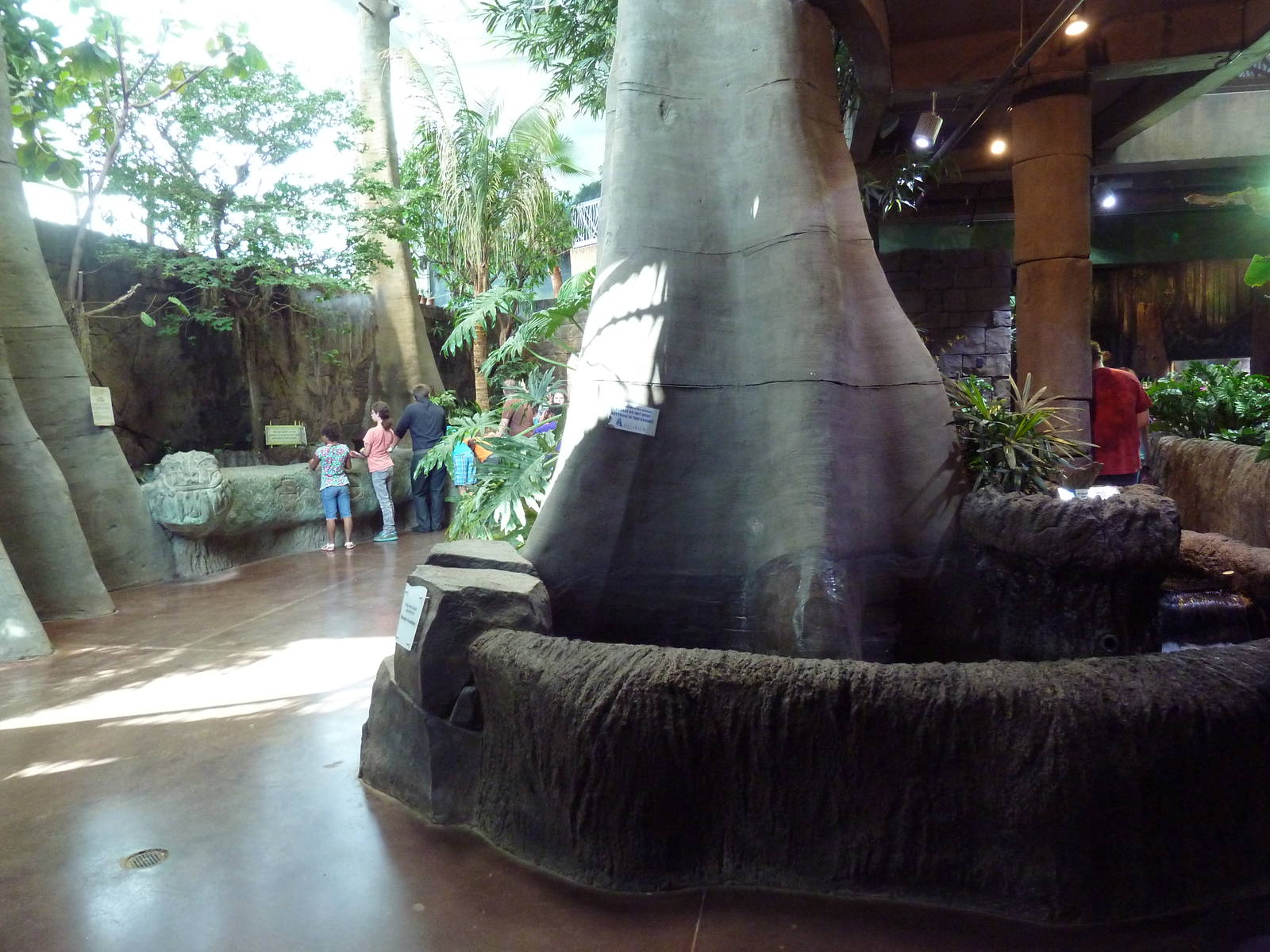 Journey to South America