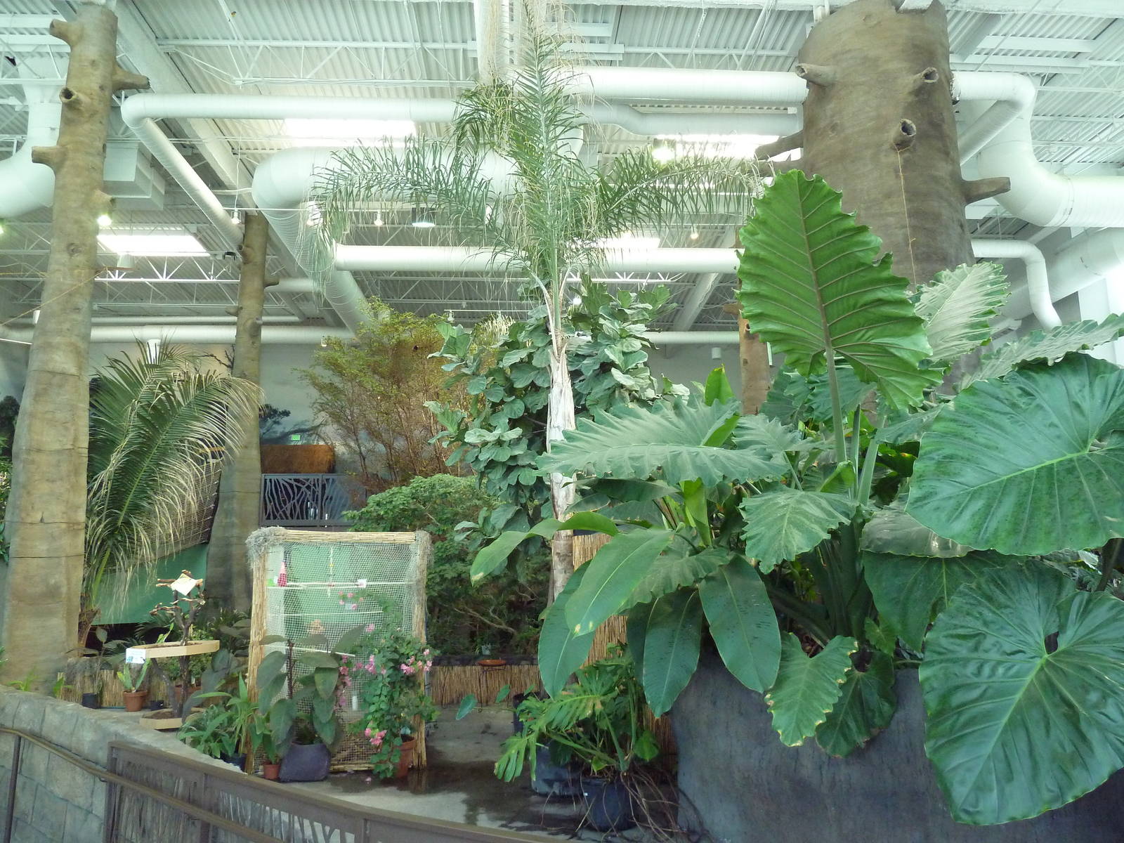 Journey to South America