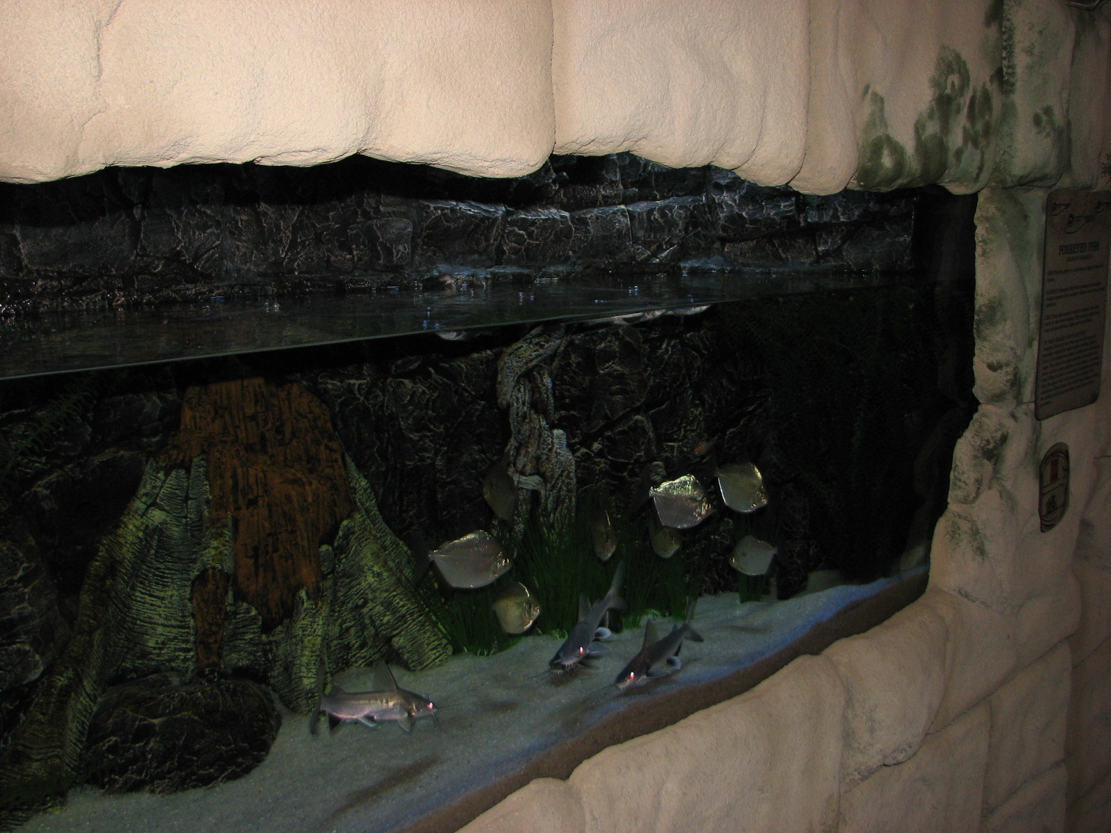 Journey to South America