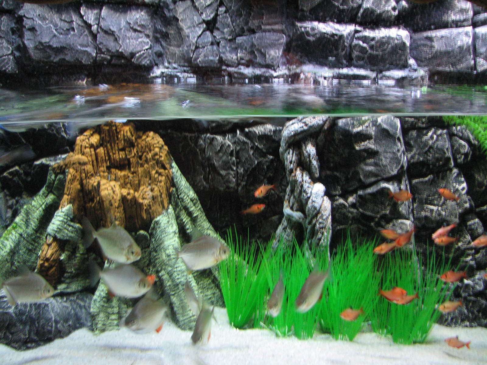 Journey to South America