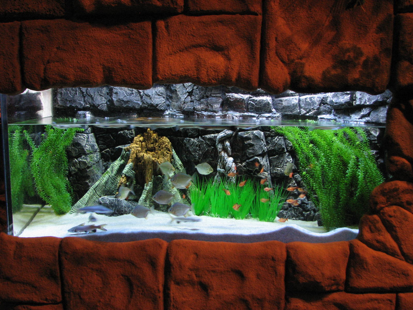 Journey to South America