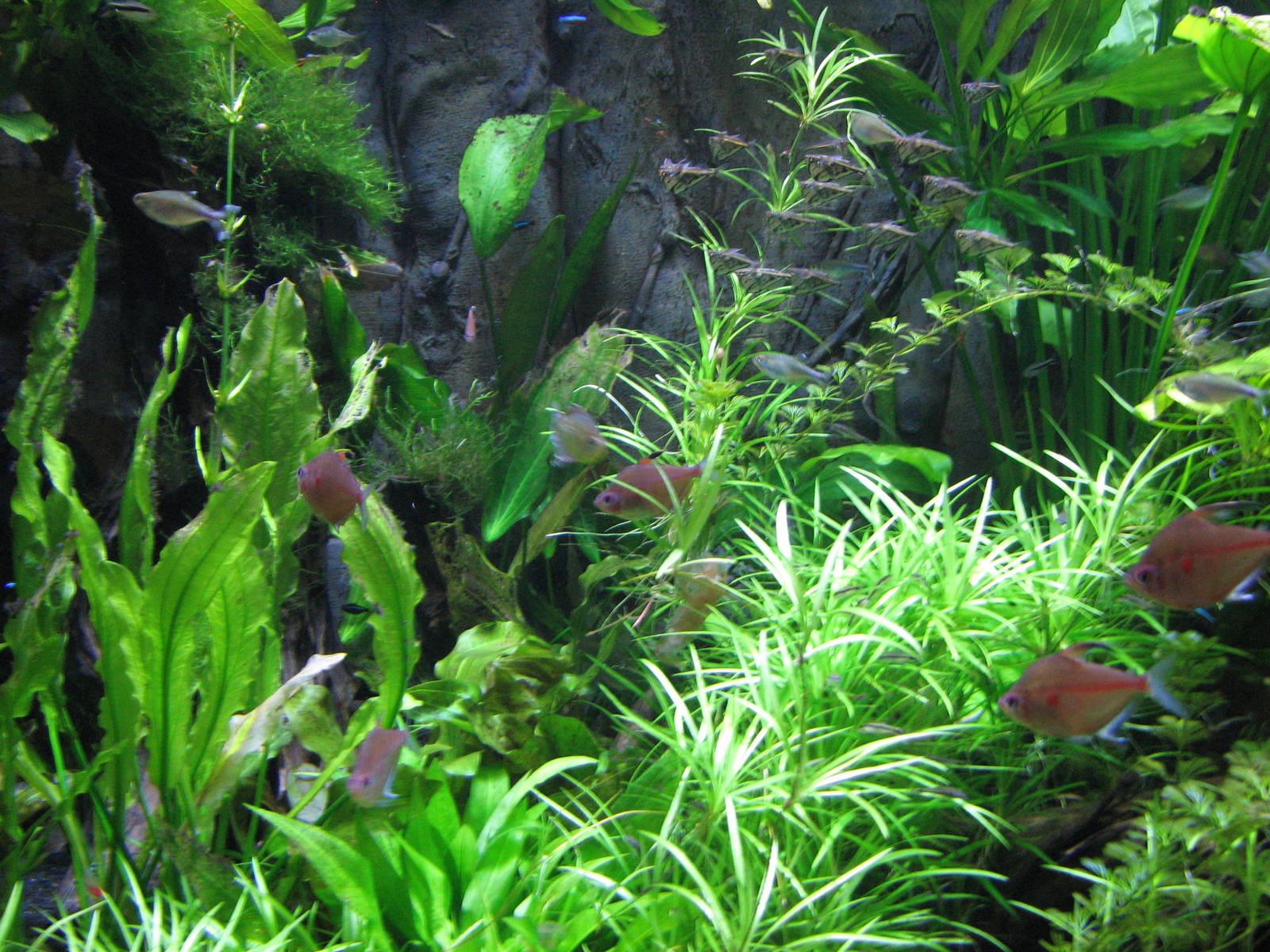 Journey to South America