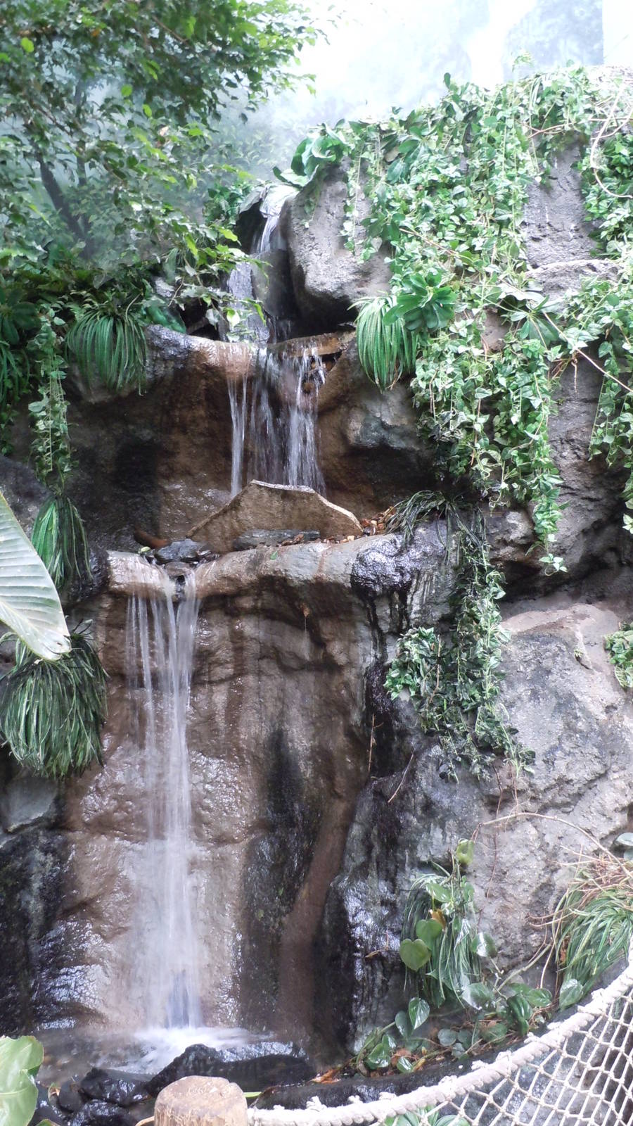 Journey to the Rainforest exhibit