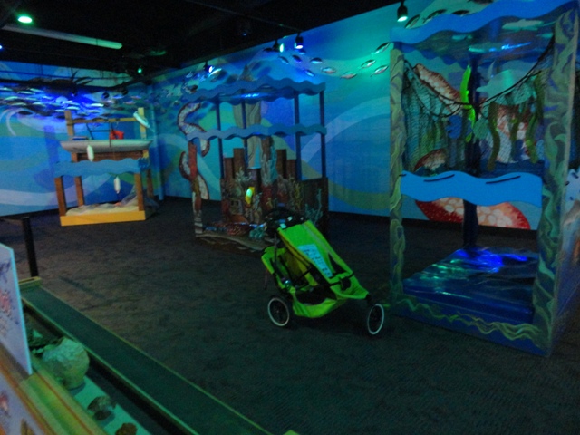 Journey to the Reef - Children's Section