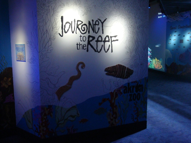 Journey to the Reef - Coloring Book Wall