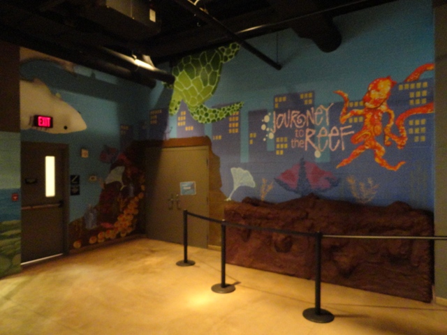 Journey to the Reef Entrance