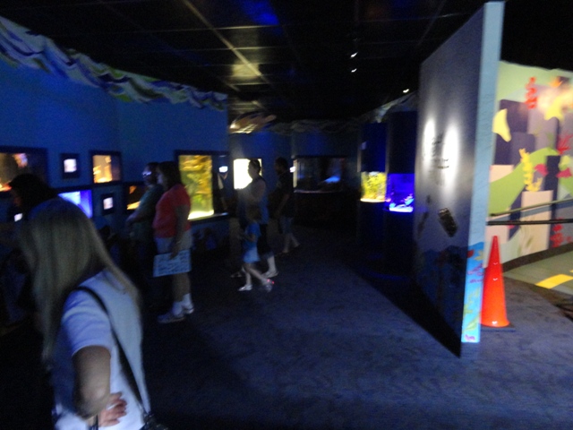 Journey to the Reef - Exhibit Corridor