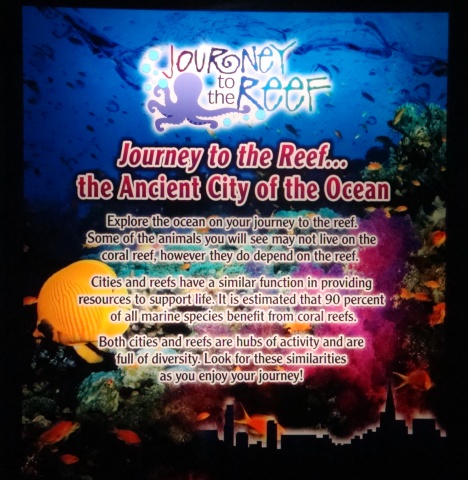 Journey to the Reef - Exhibit Description