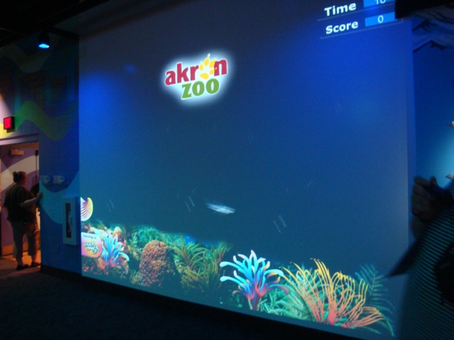 Journey to the Reef - Interactive Game Wall