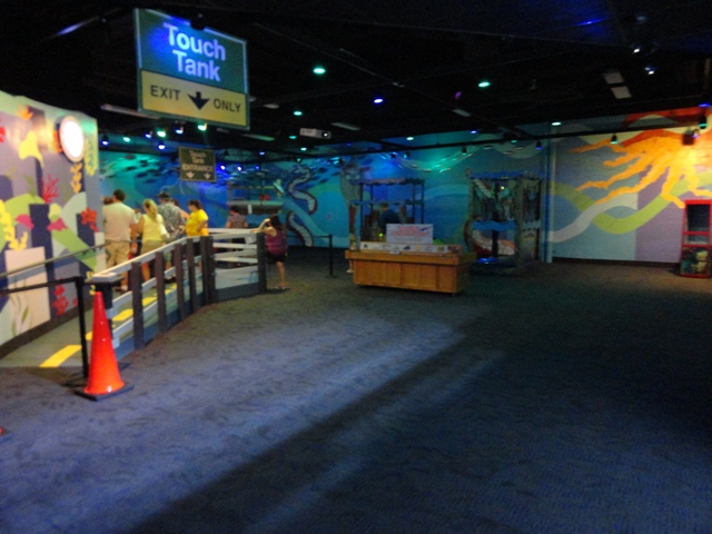 Journey to the Reef - Interactivities Section