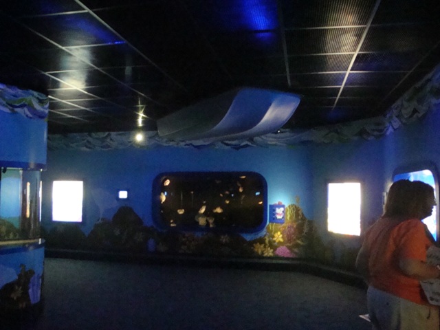 Journey to the Reef - Jelly Room