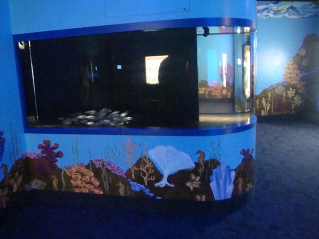 Journey to the Reef - Schooling Fishes Exhibit