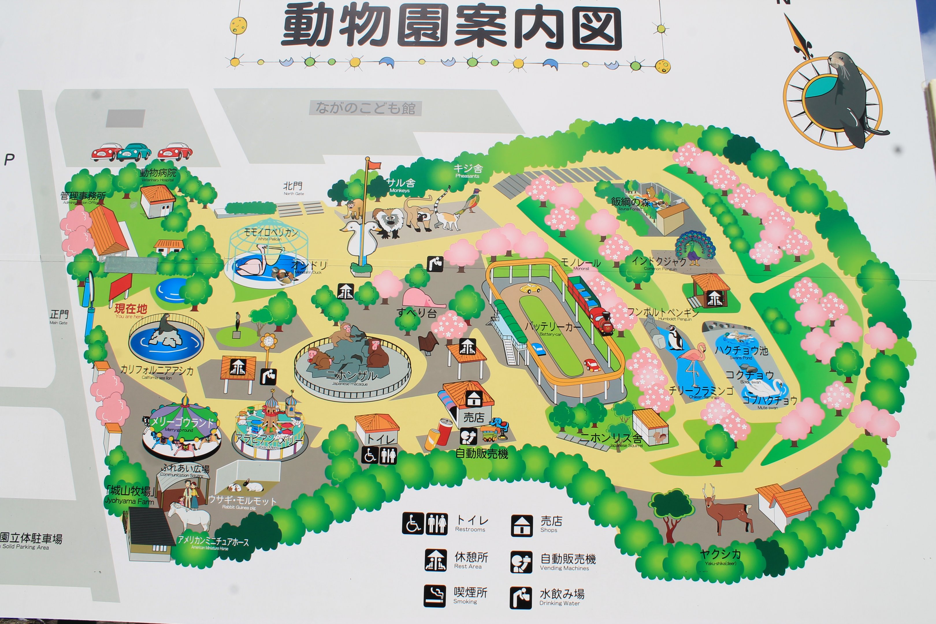 Joyama Zoo map-board