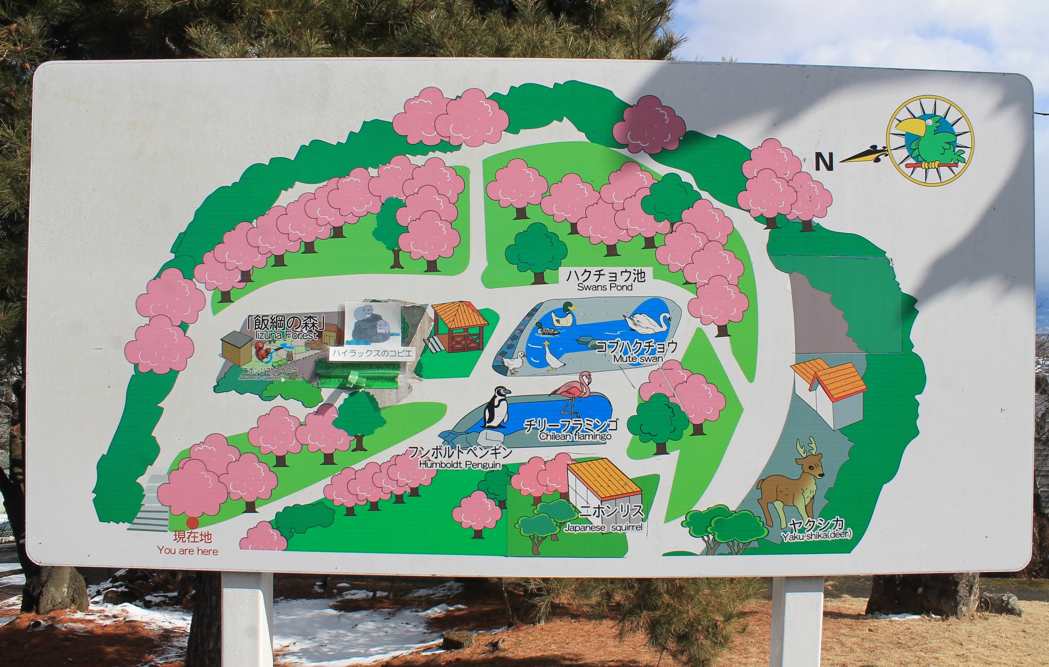 Joyama Zoo map