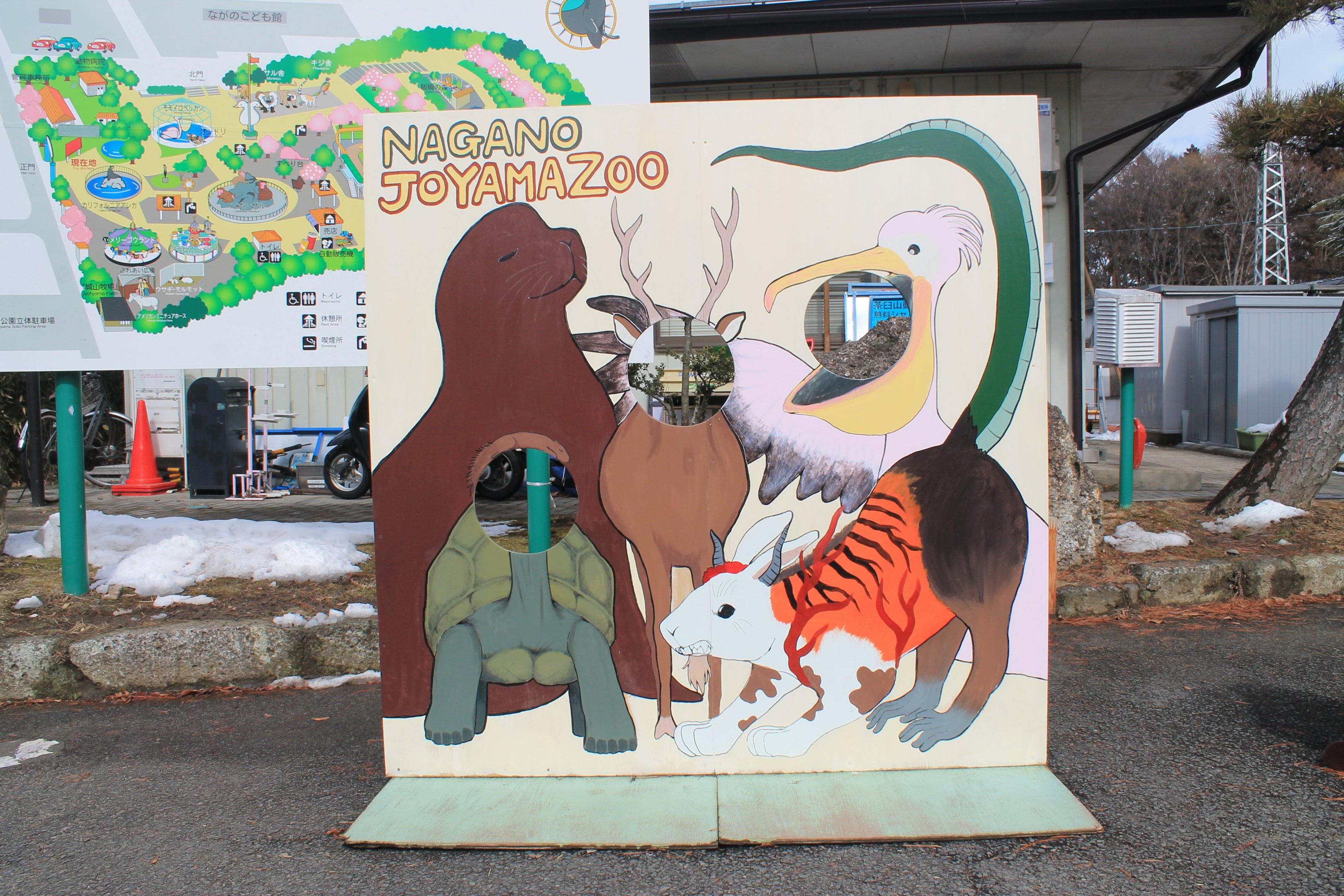 Joyama Zoo photo opportunity